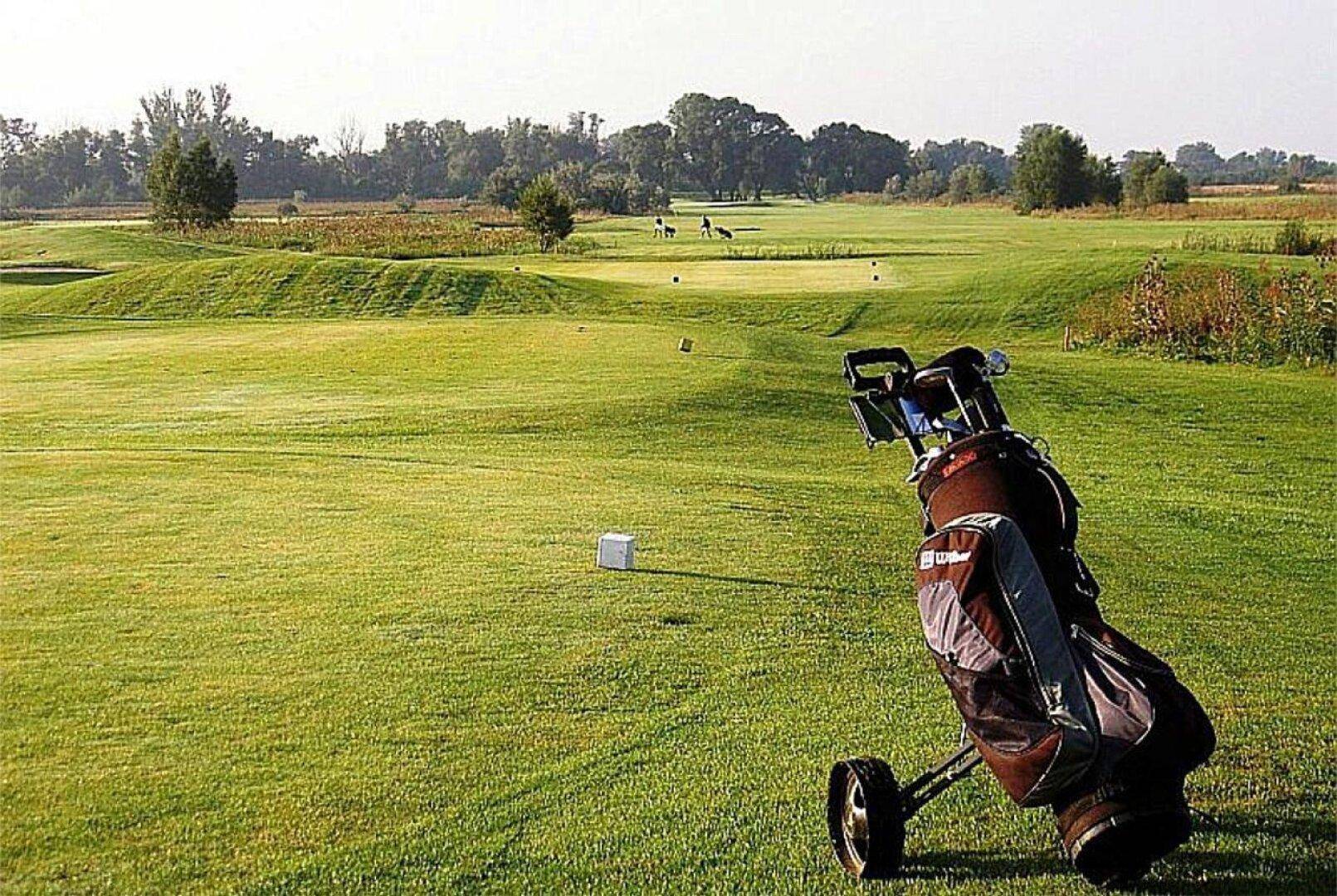 Weitläufiger Golfplatz mit grünen Fairways und Bäumen im Hintergrund, ein Golfbag im Vordergrund.