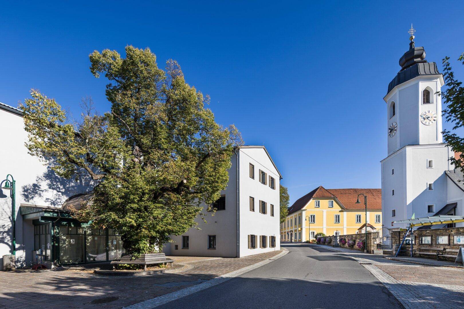 Historisches Gebäude mit Kirchturm und altem Baum in einer Dorfansicht.