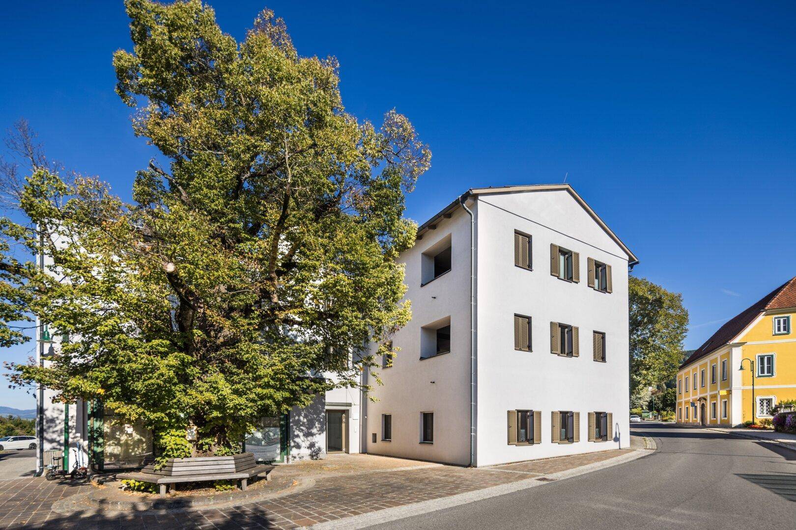 Weißes Gebäude mit braunen Fensterläden und großem Baum in ländlicher Umgebung.