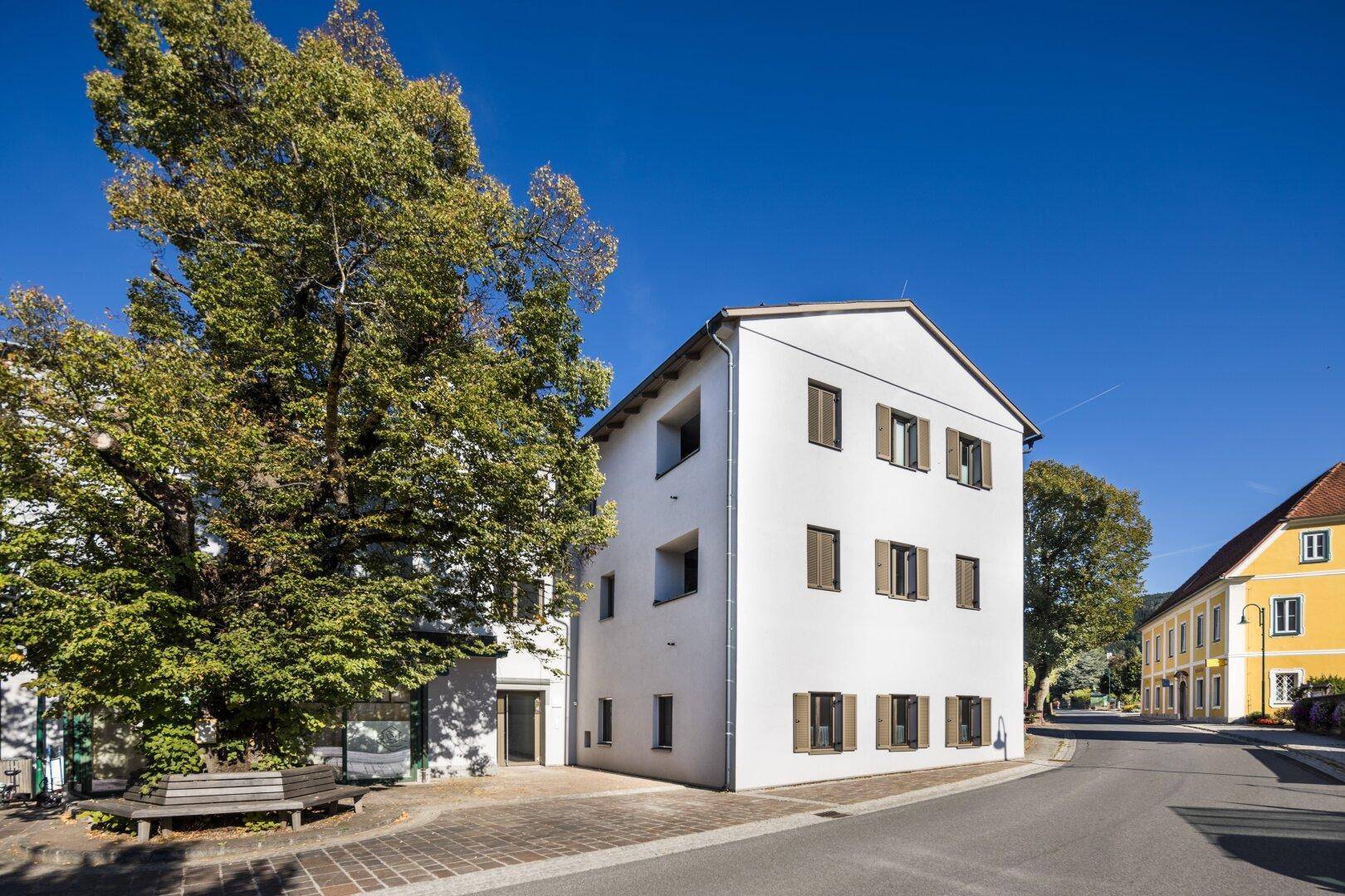 Historisches Gebäude mit einem großen Baum davor, an einer Straße in einer charmanten Stadt.