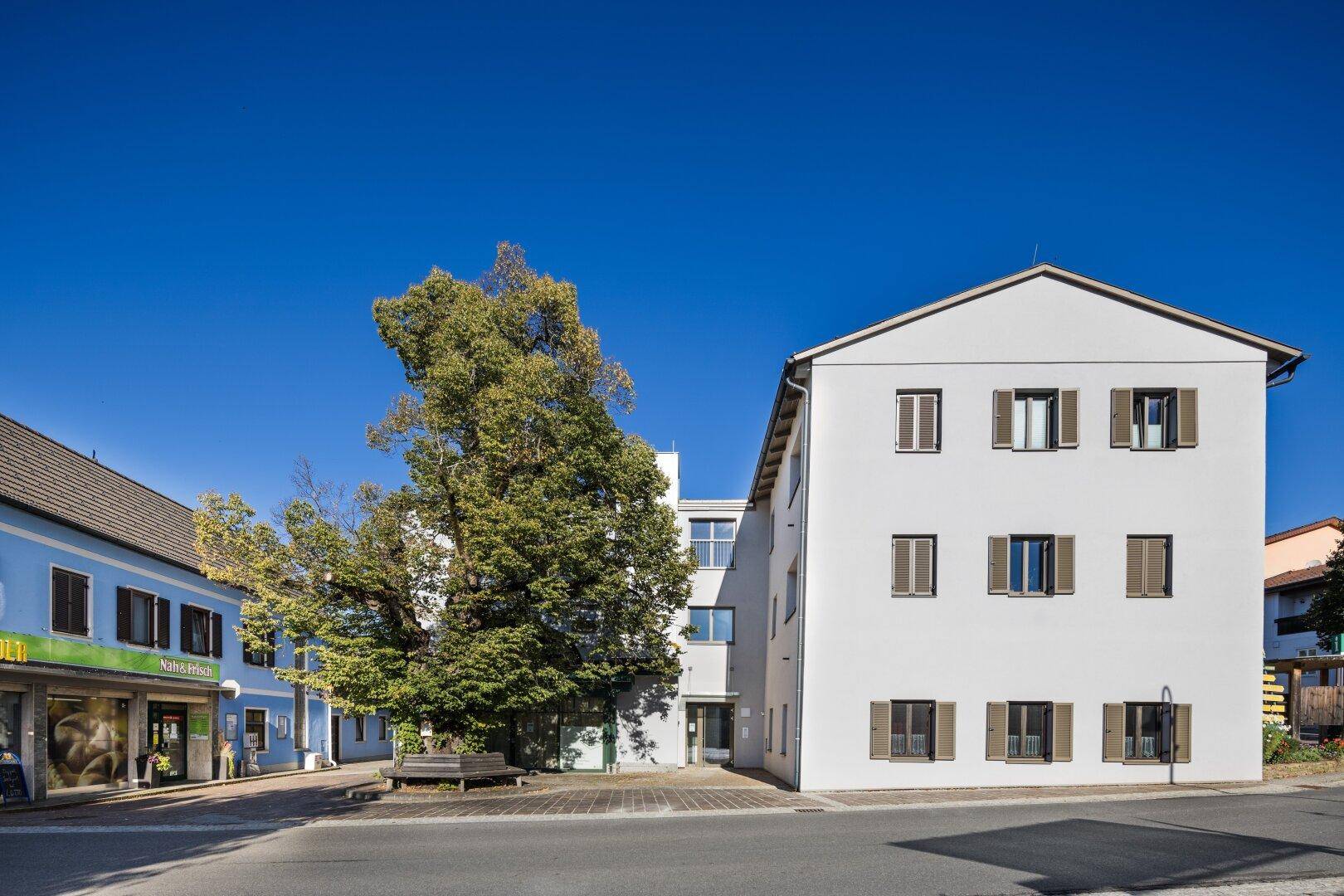 Weißes Gebäude mit blauen Fensterläden und einem großen Baum im Dorfzentrum.