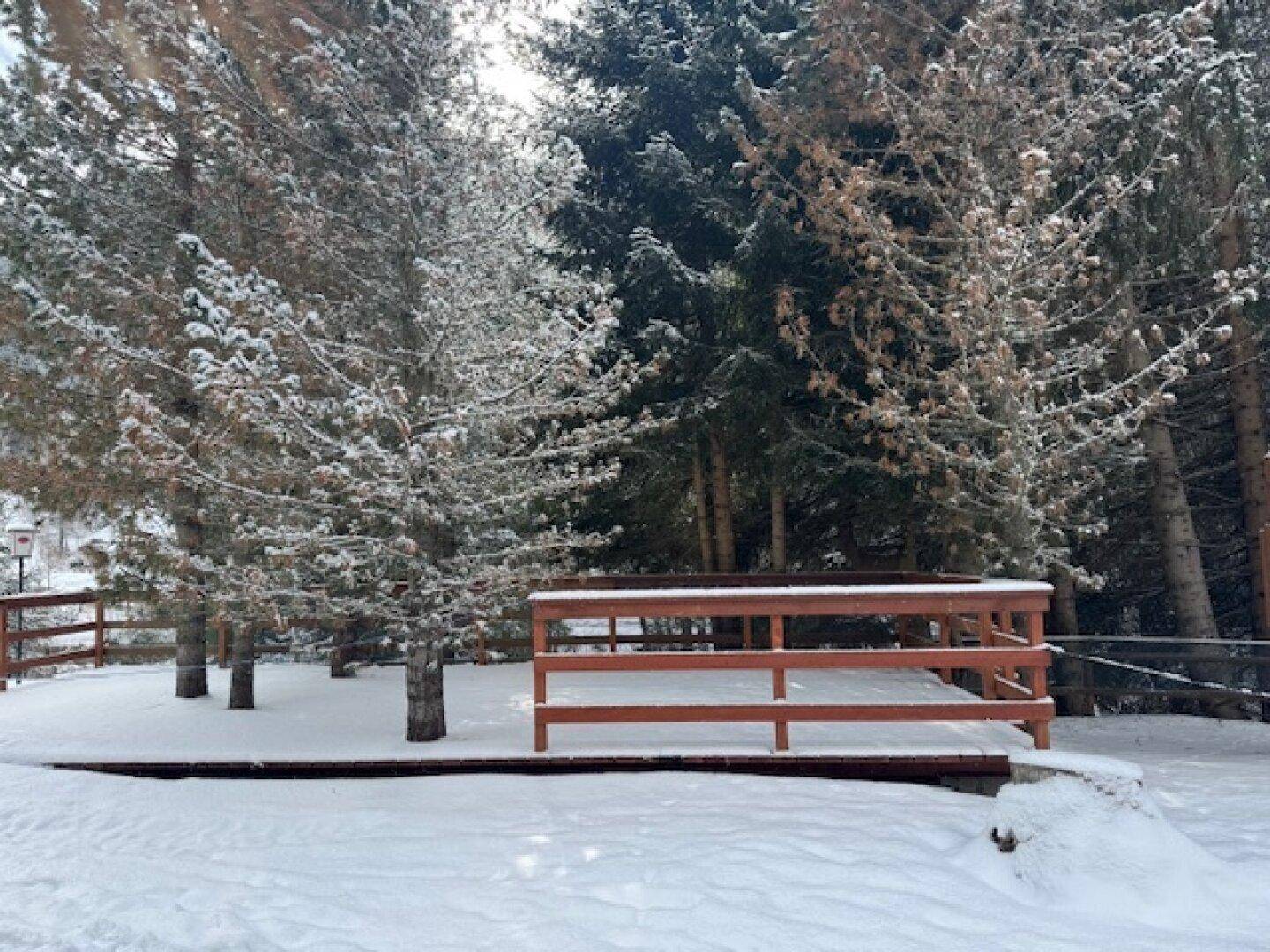 Holzterrasse im Winter, umgeben von verschneiten Bäumen und einer ruhigen, natürlichen Umgebung.