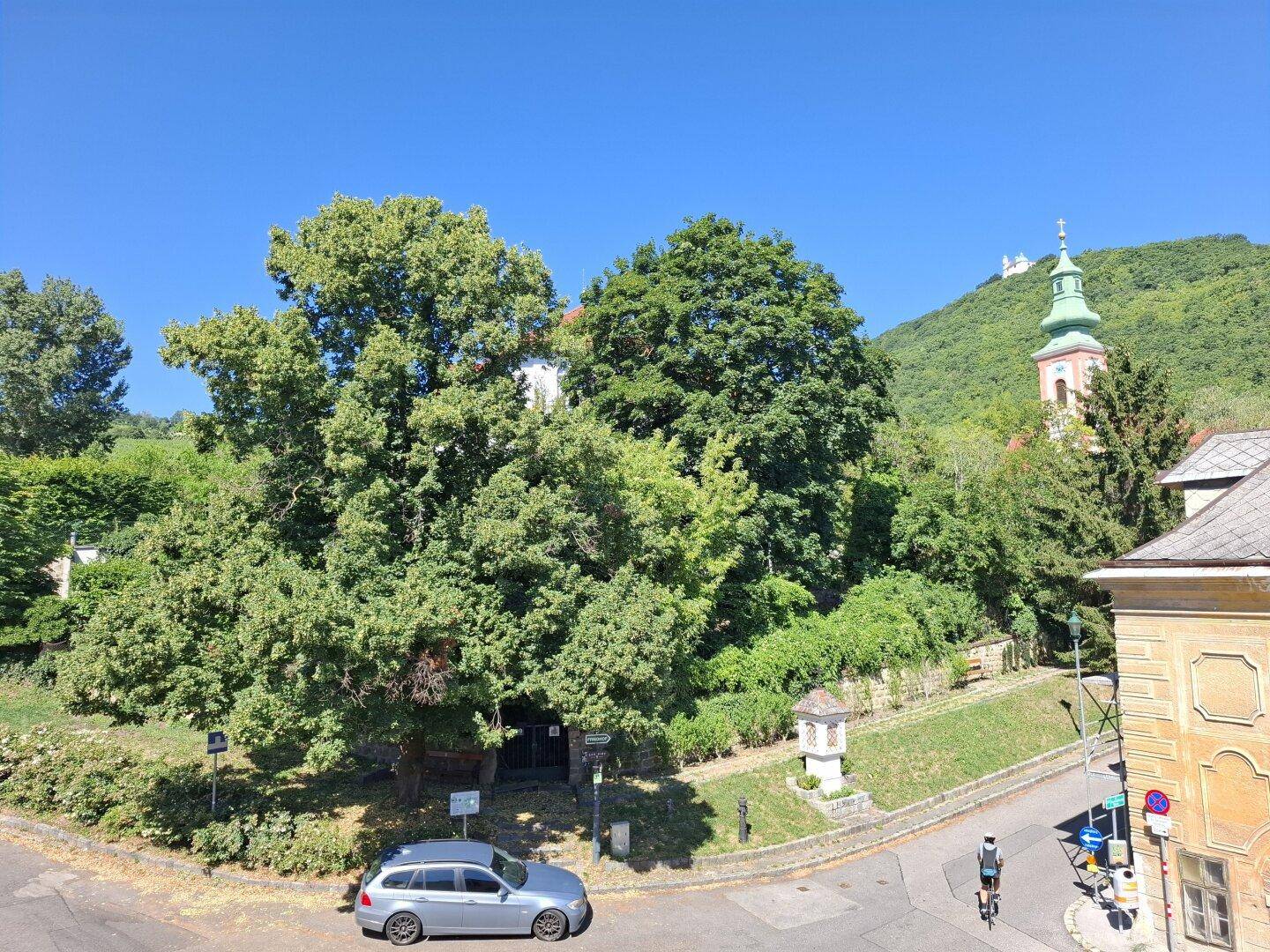 Malerische Umgebung mit viel Grün, alten Bäumen und einem Kirchturm im Hintergrund.