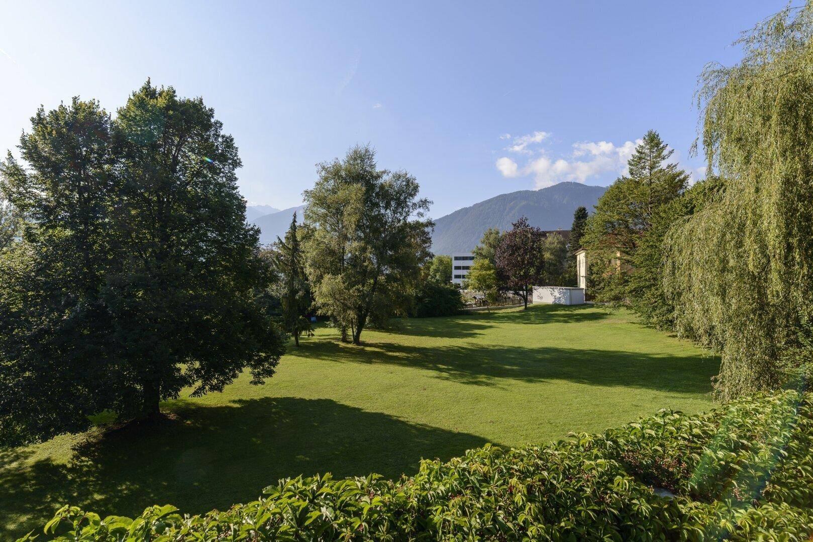 Weitläufige grüne Rasenfläche mit hohen Bäumen und majestätischem Bergblick unter blauem Himmel.