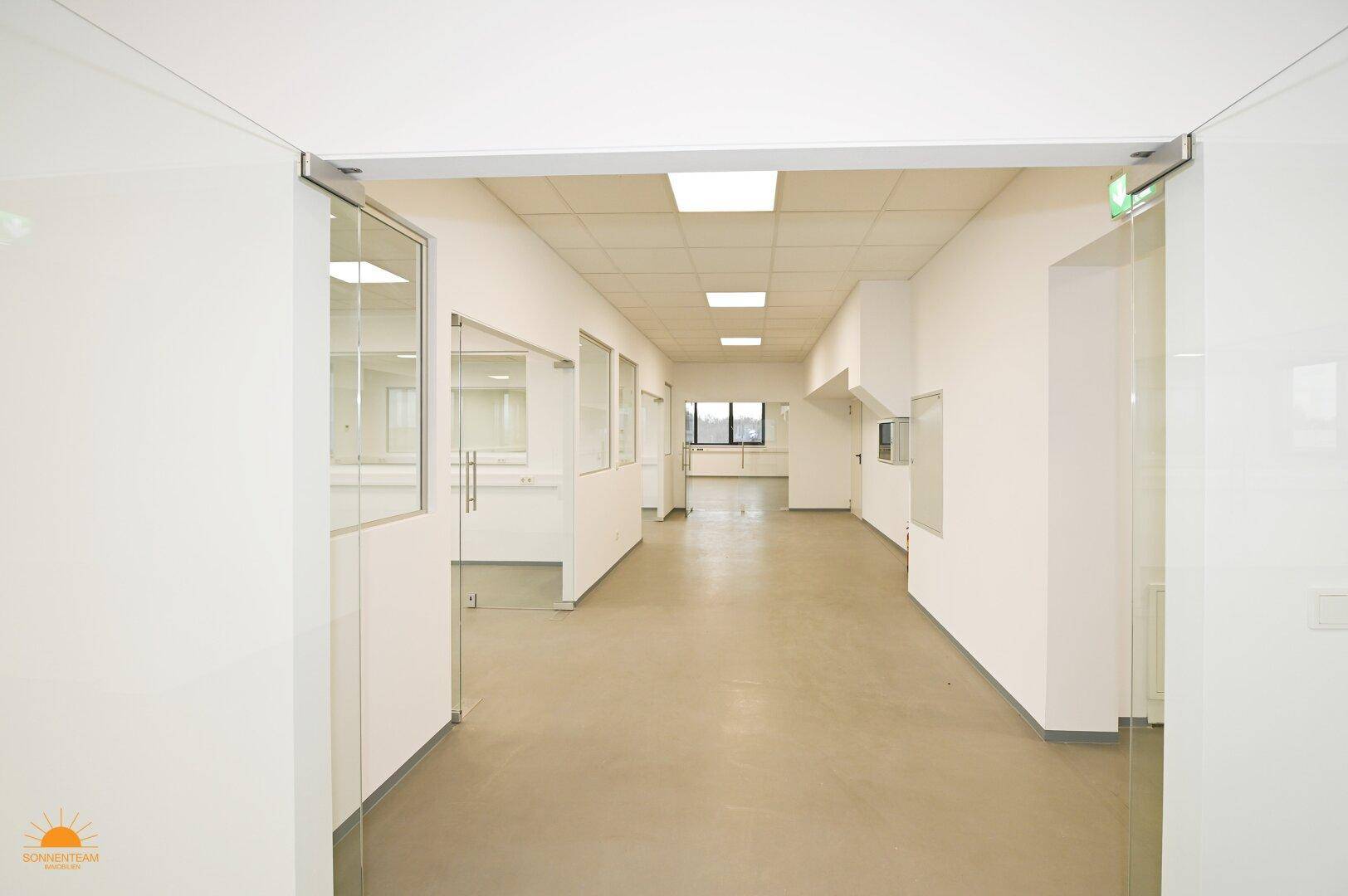 Langer, heller Flur mit Glaswänden zu den Büros und modernen Deckenleuchten.
