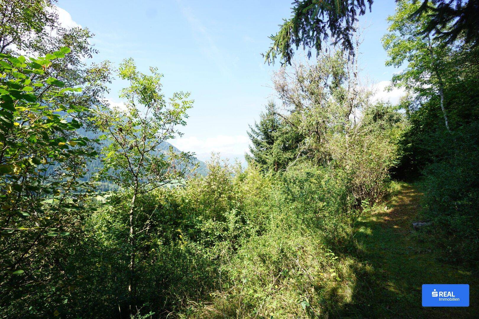 Ein schmaler Pfad führt durch üppiges Grün, mit einem weiten Blick auf die bewaldeten Hügel und den Himmel.