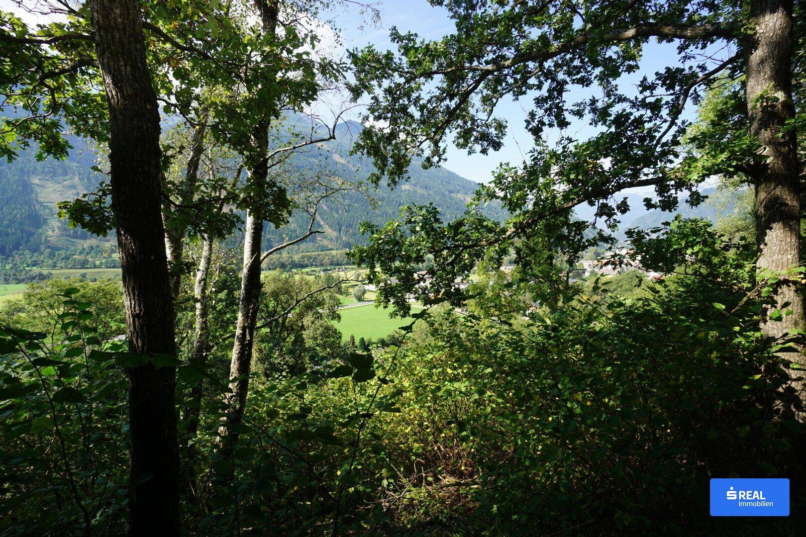 Blick durch Bäume auf eine weite grüne Landschaft mit Bergen im Hintergrund unter blauem Himmel.