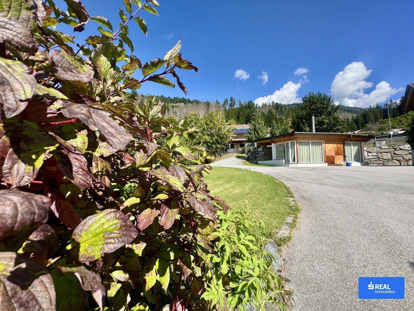 Geschwungener Weg führt zu einem modernen Gebäude, umgeben von üppiger Vegetation und Bergen.
