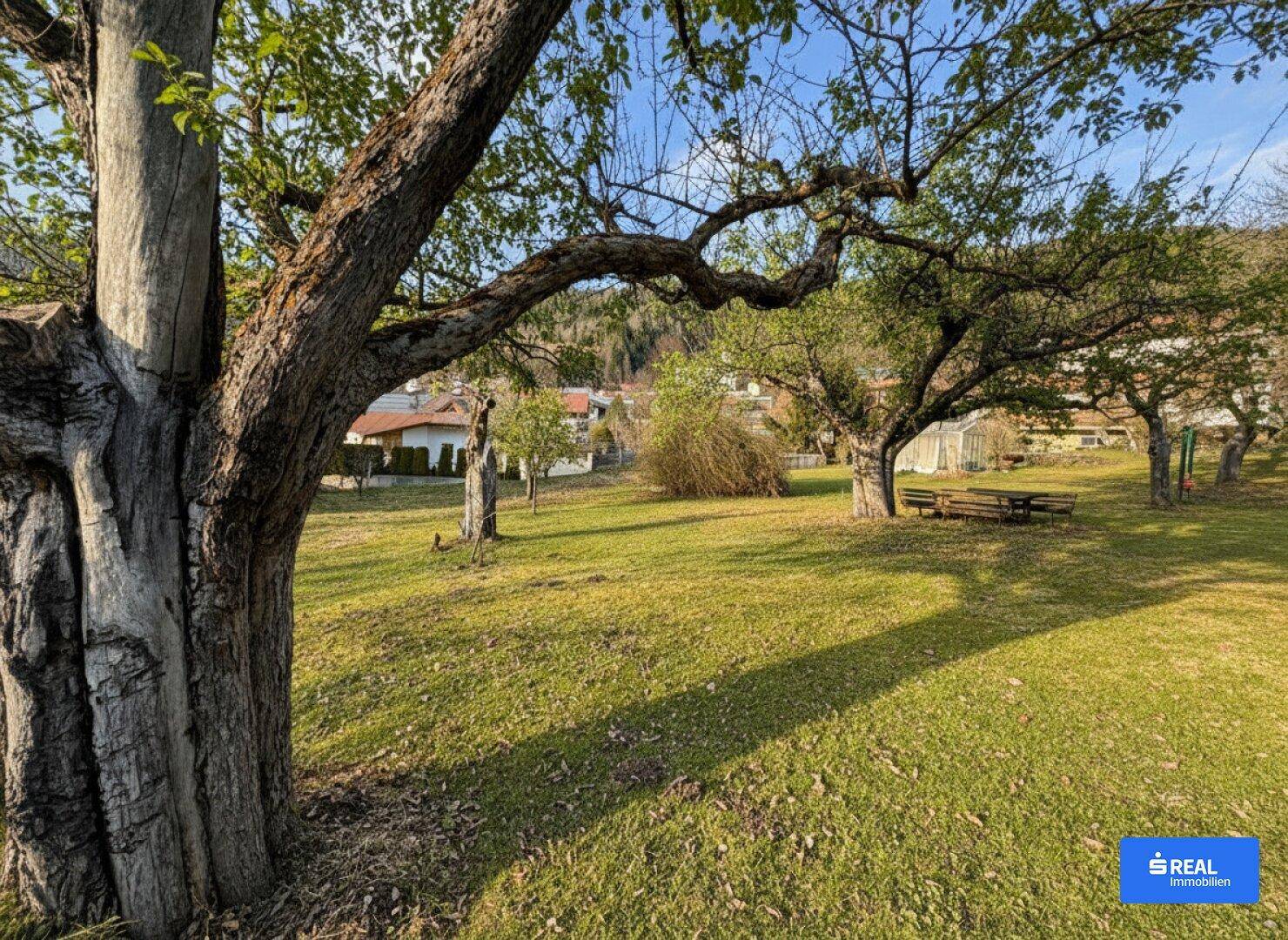 Idyllischer Gartenbereich mit alten Bäumen, grüner Wiese und Picknicktisch für entspannte Stunden.