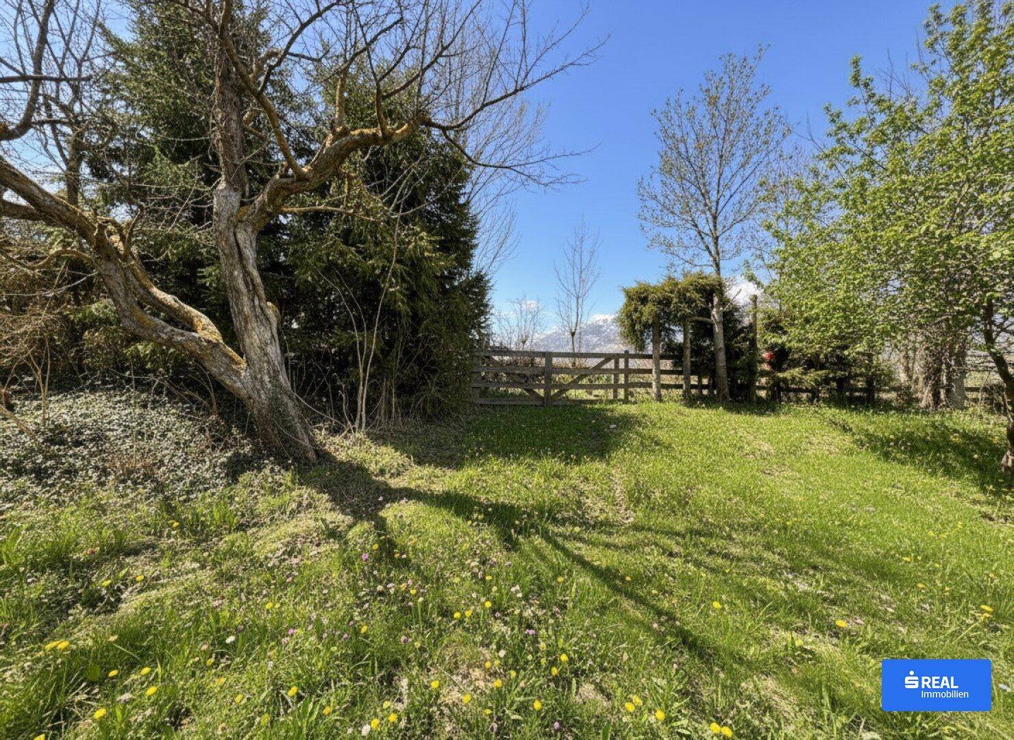 Sonniger Gartenbereich mit hohen Bäumen, Holzzaun und Blick auf schneebedeckte Berge in der Ferne.