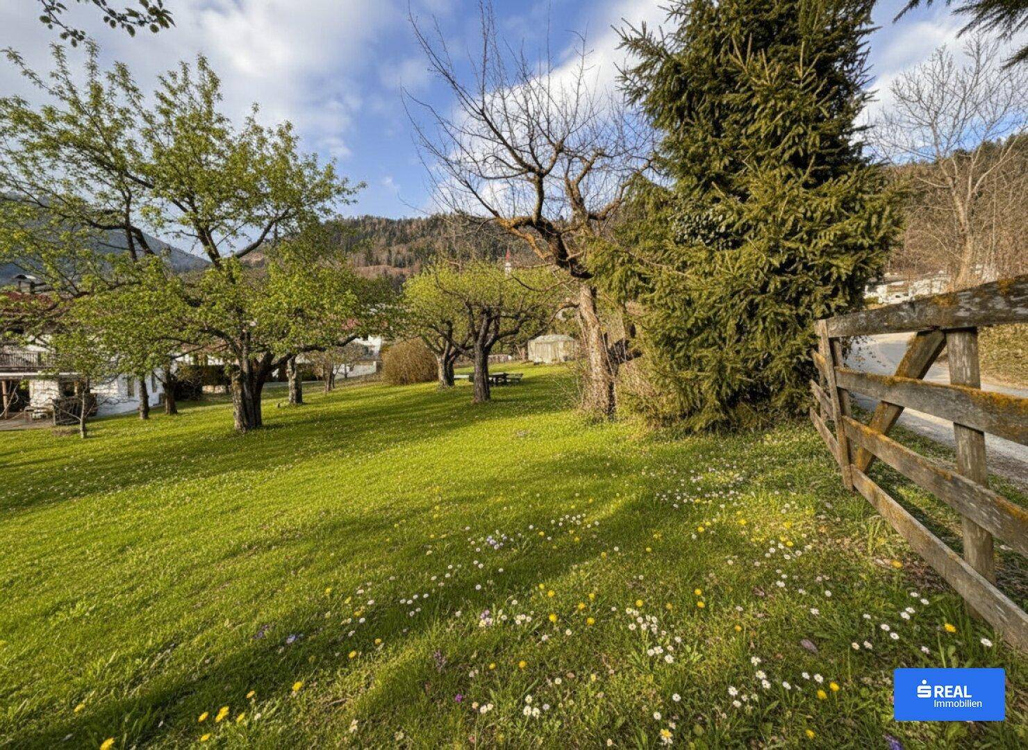 Weitläufiger Garten mit blühender Wiese, alten Bäumen und Holzzaun in ländlicher Umgebung.