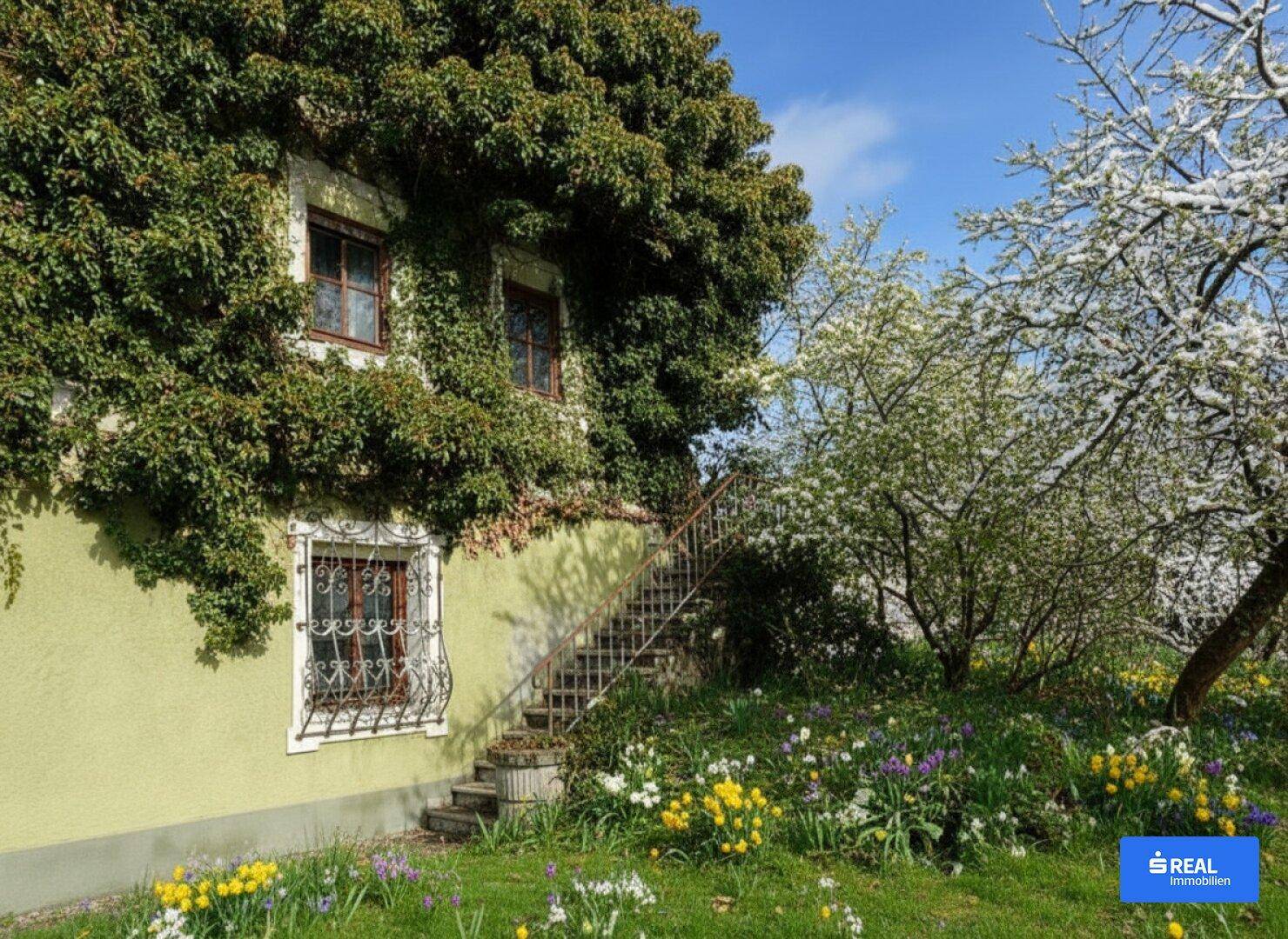 Historisches Juwel mitten im Kräuterdorf - Ansicht 3