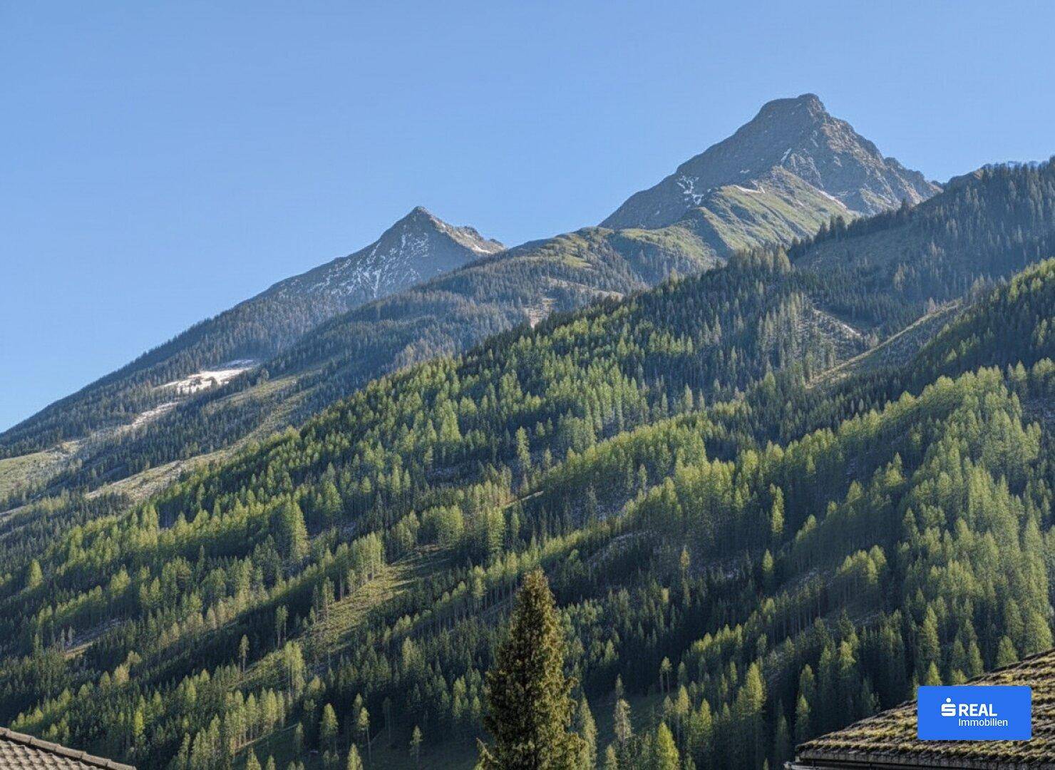 Malerischer Blick auf bewaldete Berge unter einem klaren blauen Himmel, der die natürliche Umgebung zeigt.