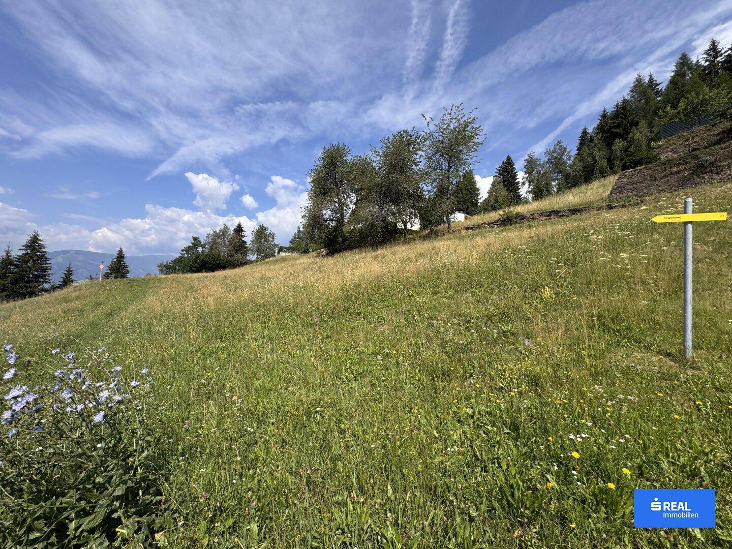 Grüne Hügellandschaft mit Bäumen und einem Wegweiser, der die Richtung in der Natur anzeigt.