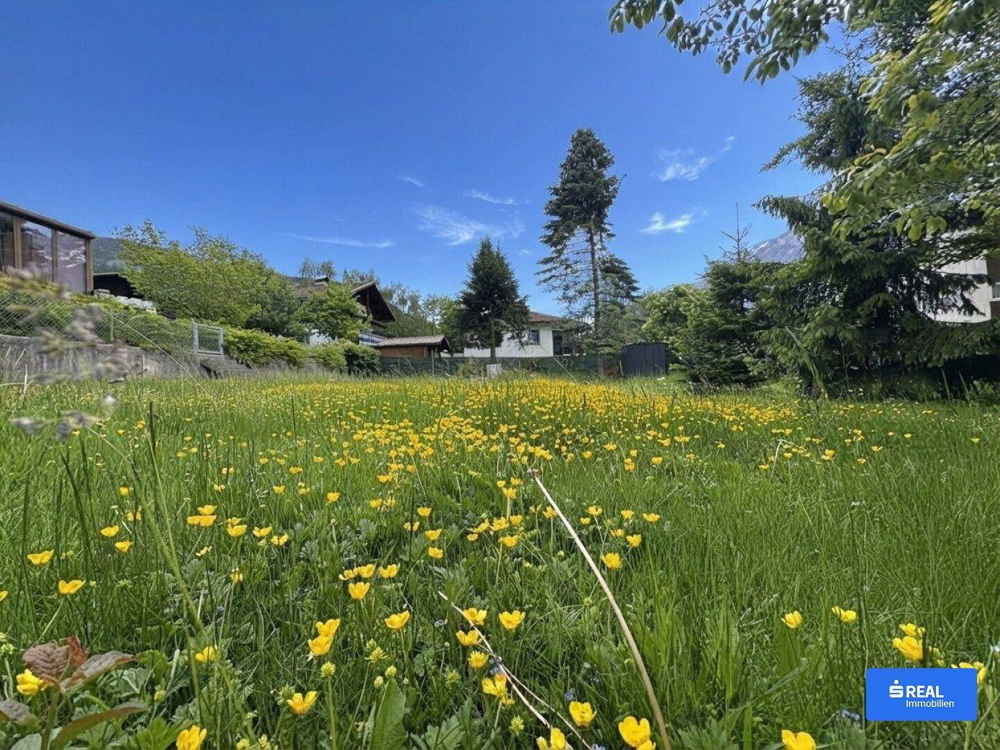 Blühende Wiese mit gelben Blumen im Vordergrund und Häusern sowie Bergen im Hintergrund unter blauem Himmel.