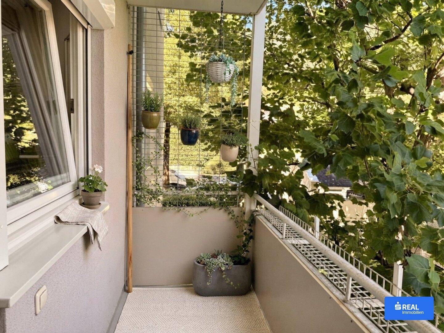Kleiner, begrünter Balkon mit Hängepflanzen und einem angenehmen Blick auf Bäume und Natur.