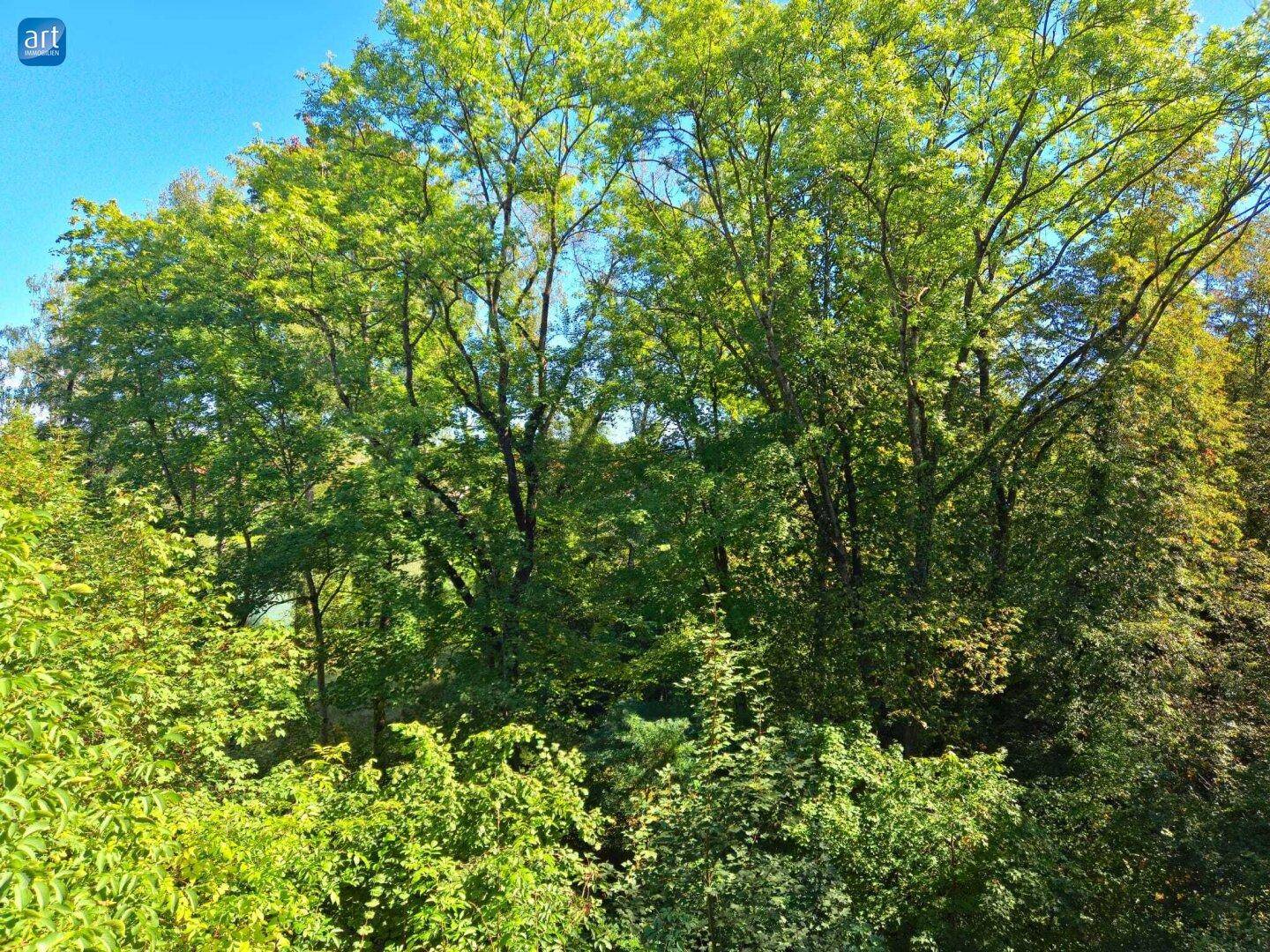 Üppige grüne Bäume und Sträucher bieten einen natürlichen Ausblick von der Immobilie.