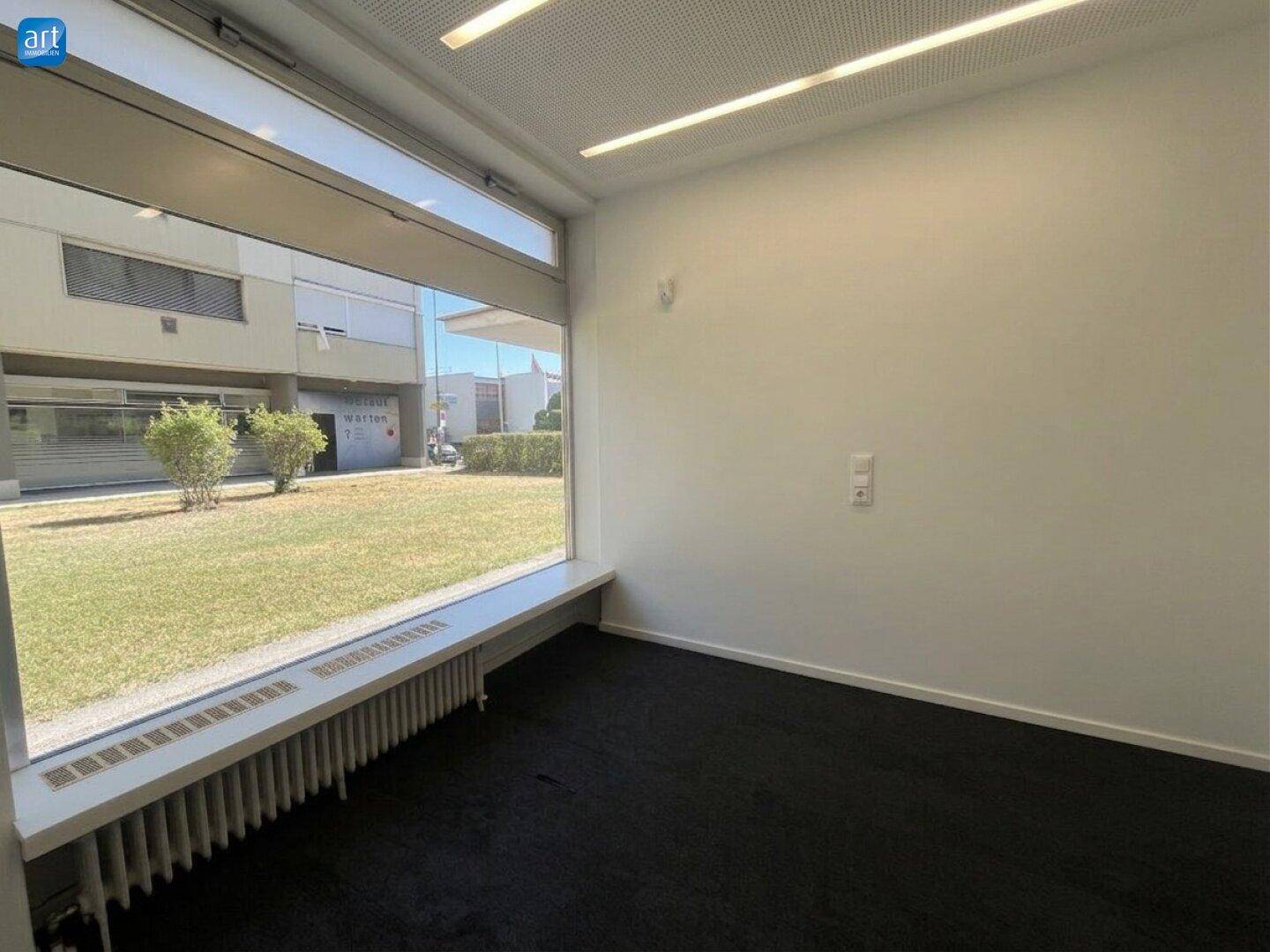 Kleinerer Raum mit dunklem Teppichboden, großem Fenster mit Blick ins Grüne und Heizkörper.