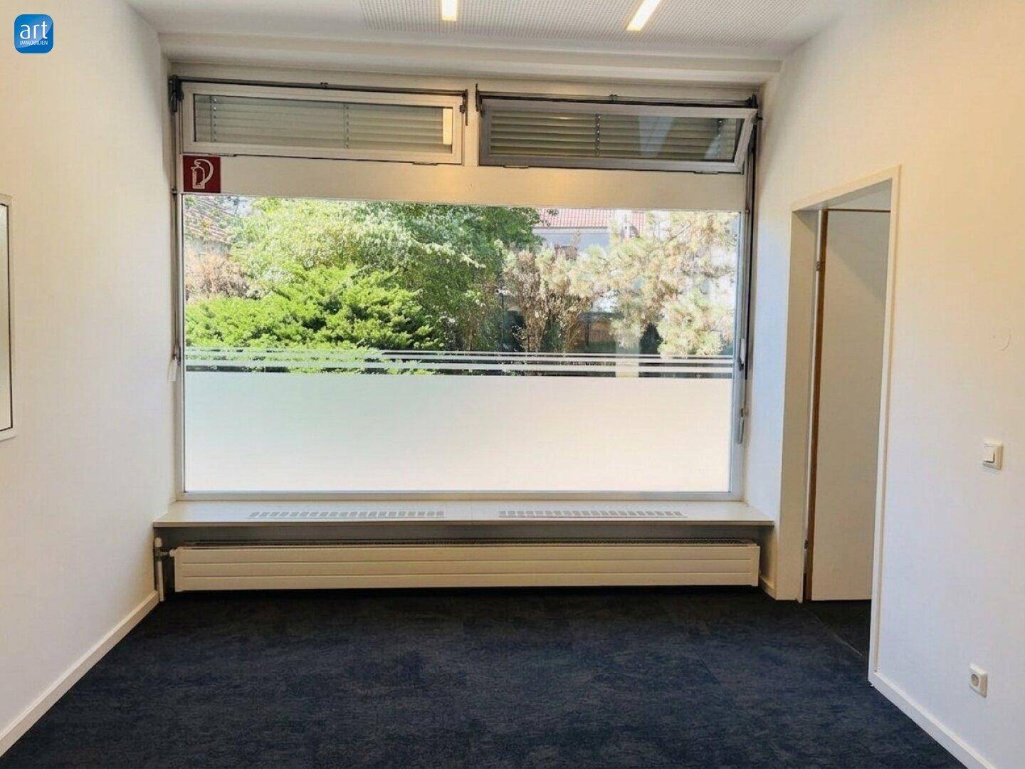 Geräumiger Raum mit dunklem Teppichboden, großem Fenster mit Milchglas und effizienter Deckenbeleuchtung.