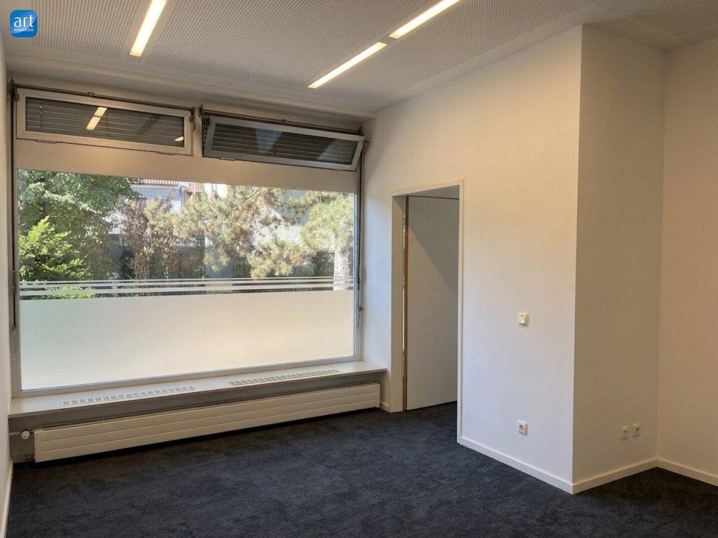 Heller Raum mit dunklem Teppichboden, großem Fenster mit Milchglas und moderner Deckenbeleuchtung.