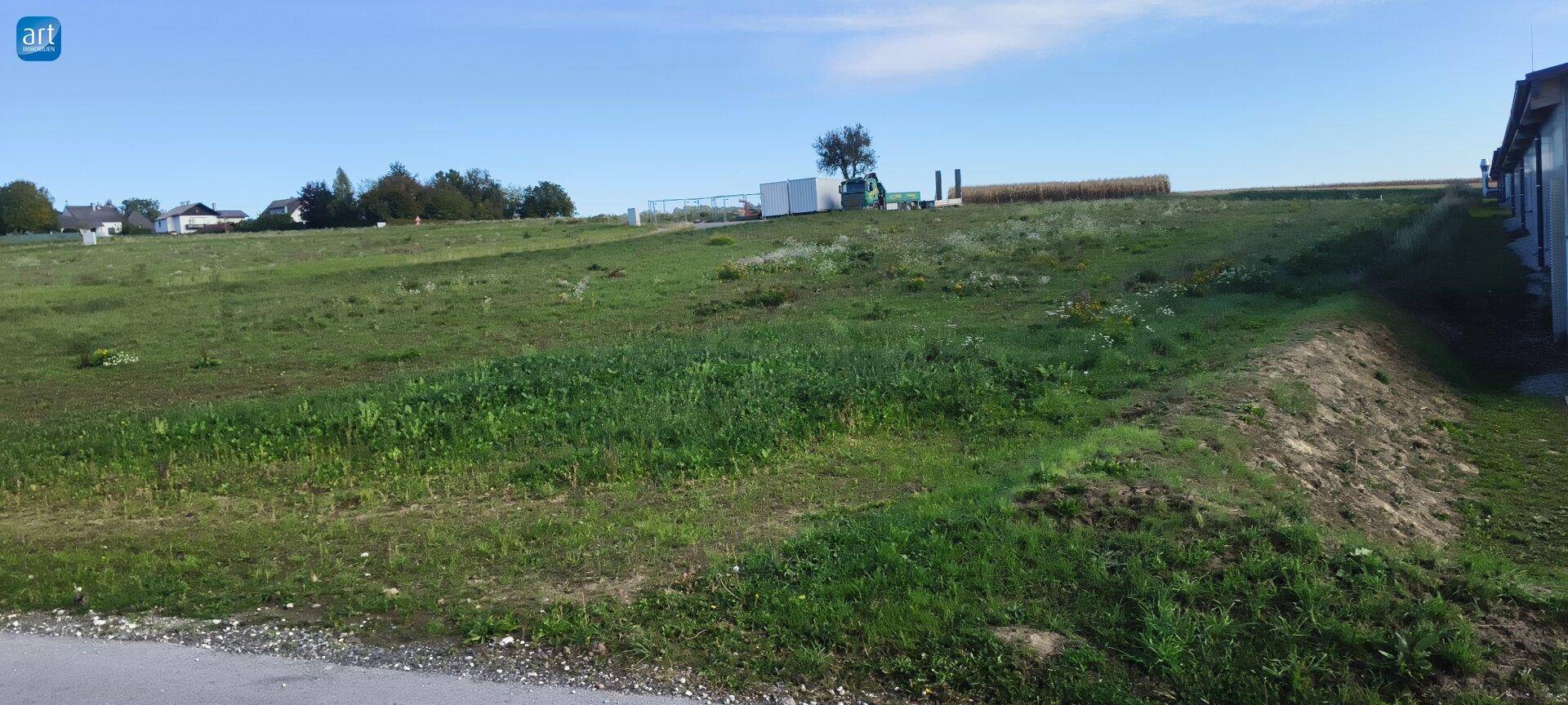 Offenes Feld mit grüner Vegetation und einigen entfernten Gebäuden unter einem blauen Himmel.