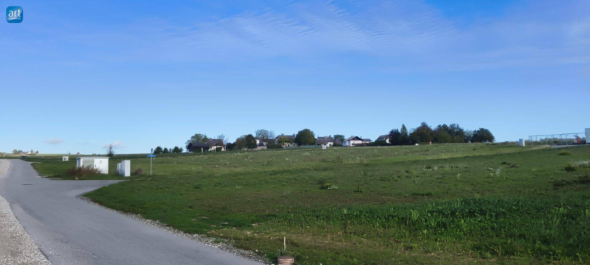 Offene grüne Felder mit einer Straße und Häusern in der Ferne unter einem klaren blauen Himmel.