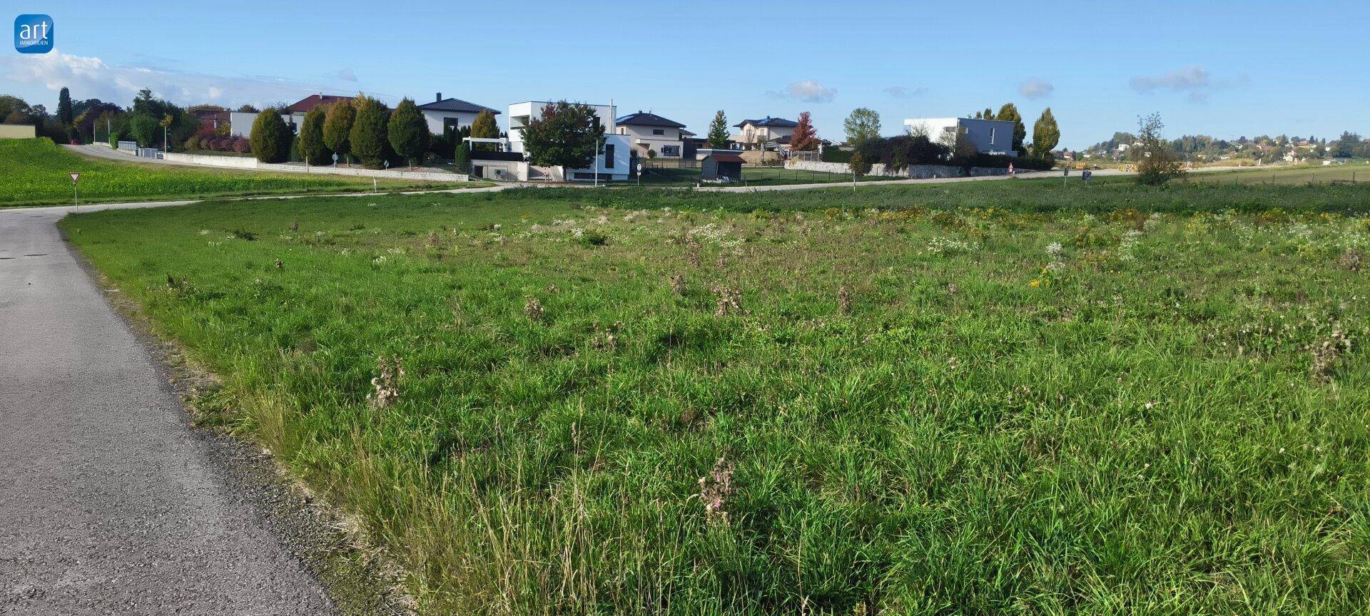 Grüne Wiese im Vordergrund mit einer Straße und modernen Wohnhäusern in der Ferne unter klarem Himmel.