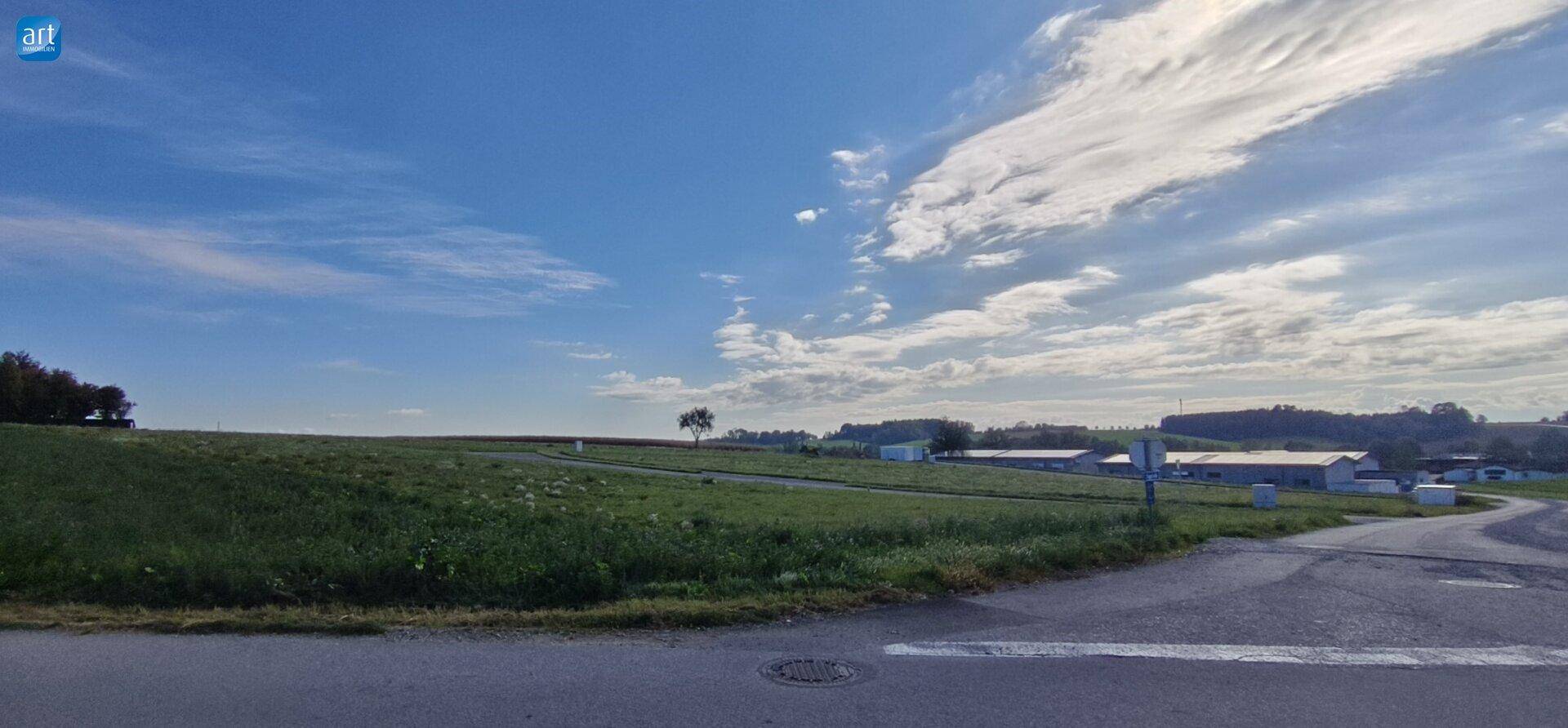 Panoramablick über grüne Hügel und Felder mit einer Straße und vereinzelten Gebäuden am Horizont.