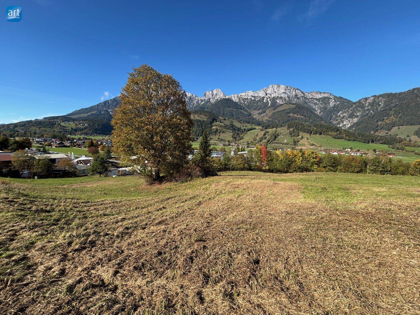 Grundstück, 2890 m²