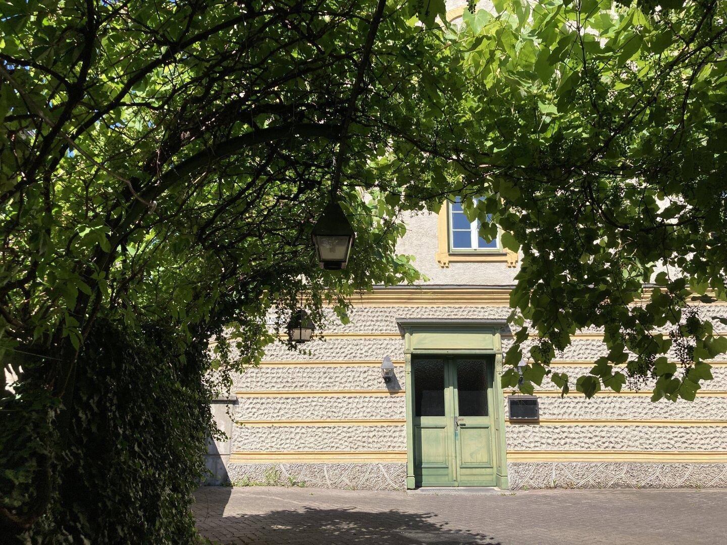Grüne Eingangstür und Fassade eines Gebäudes, umrahmt von dichtem grünen Laubwerk.