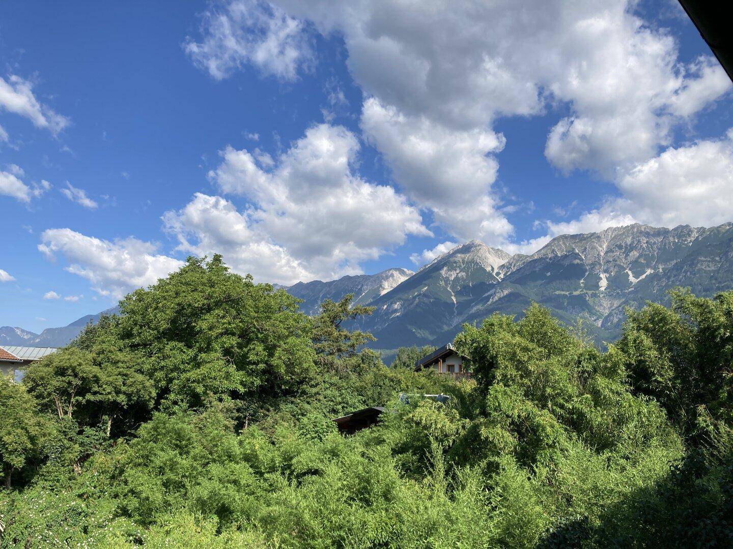 Panoramablick auf majestätische Berge und dichte grüne Wälder unter einem strahlend blauen Himmel.