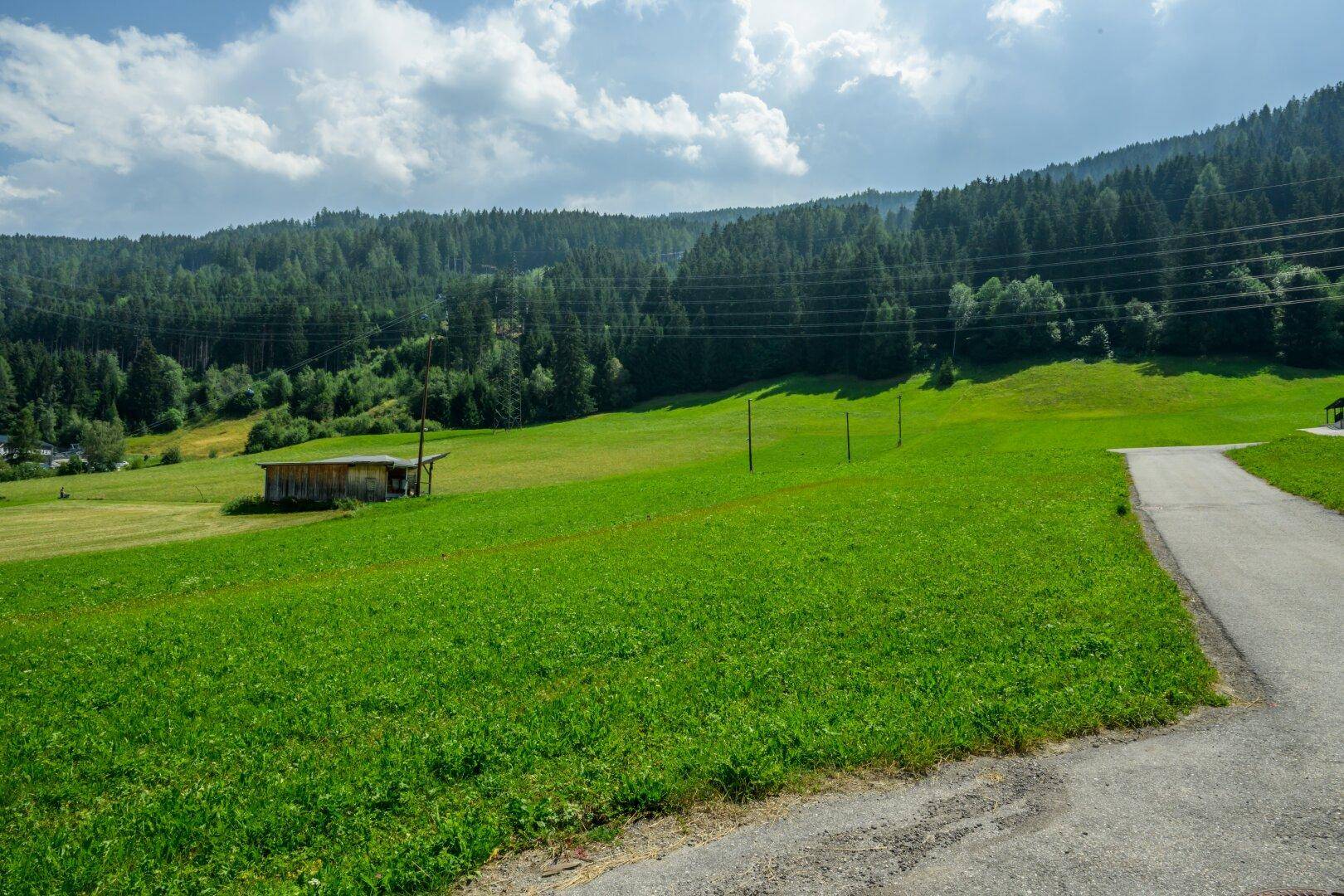 Grüne Wiesenlandschaft mit einem kleinen Holzschuppen, einer Straße und einem bewaldeten Berg im Hintergrund.