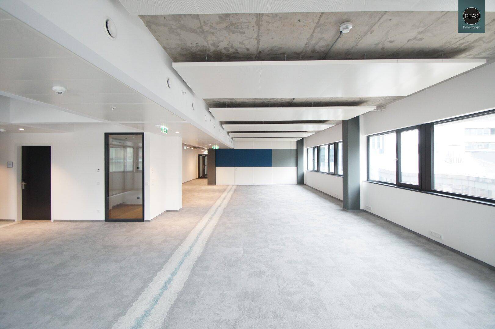 Helles, leeres Büro mit Teppichboden, Sichtbetondecke und blauer Akzentwand, bietet vielseitige Nutzungsmöglichkeiten.