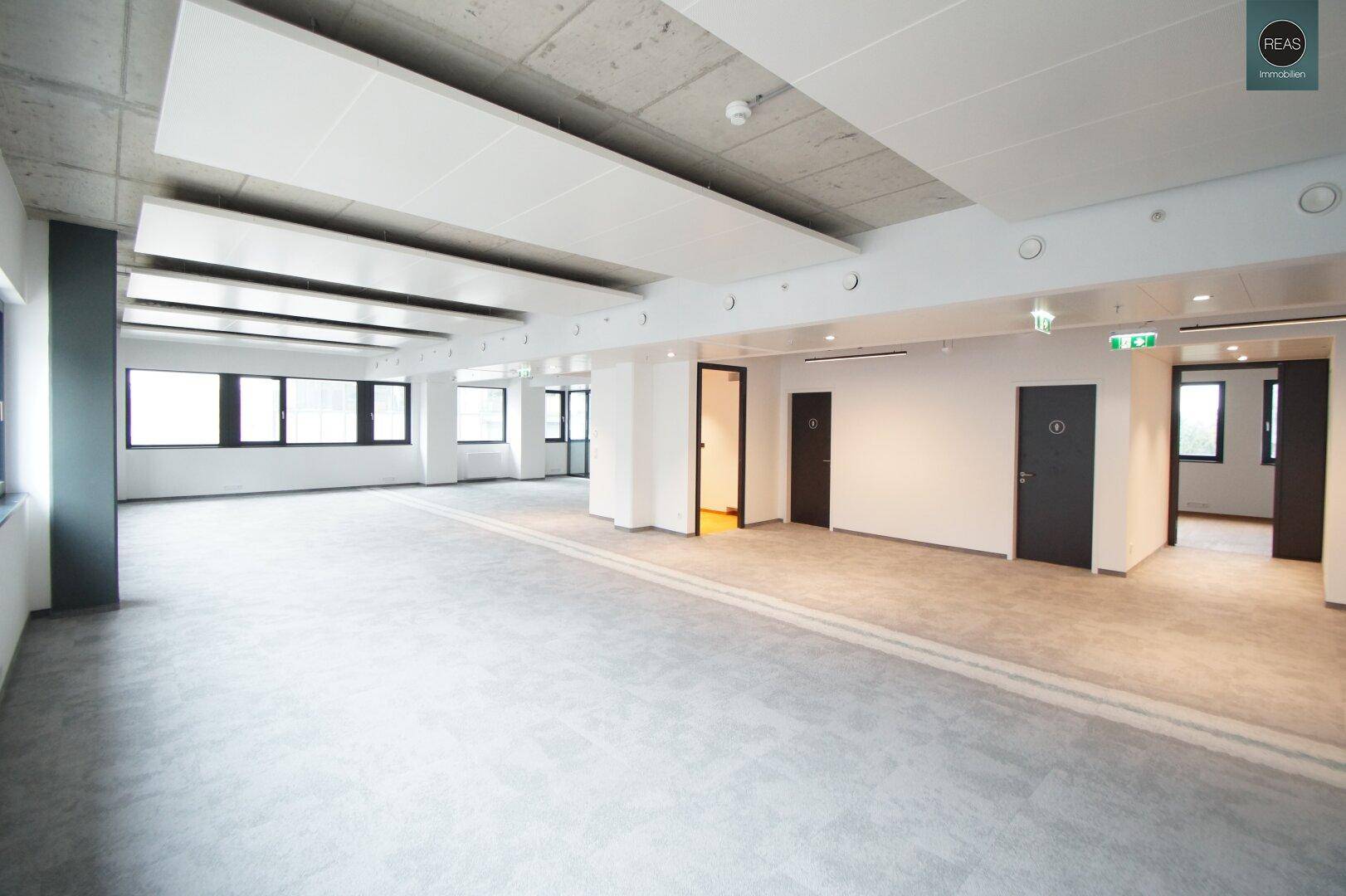 Weitläufiges, leeres Büro mit Teppichboden und mehreren Türen, bietet flexible Raumgestaltung für Unternehmen.