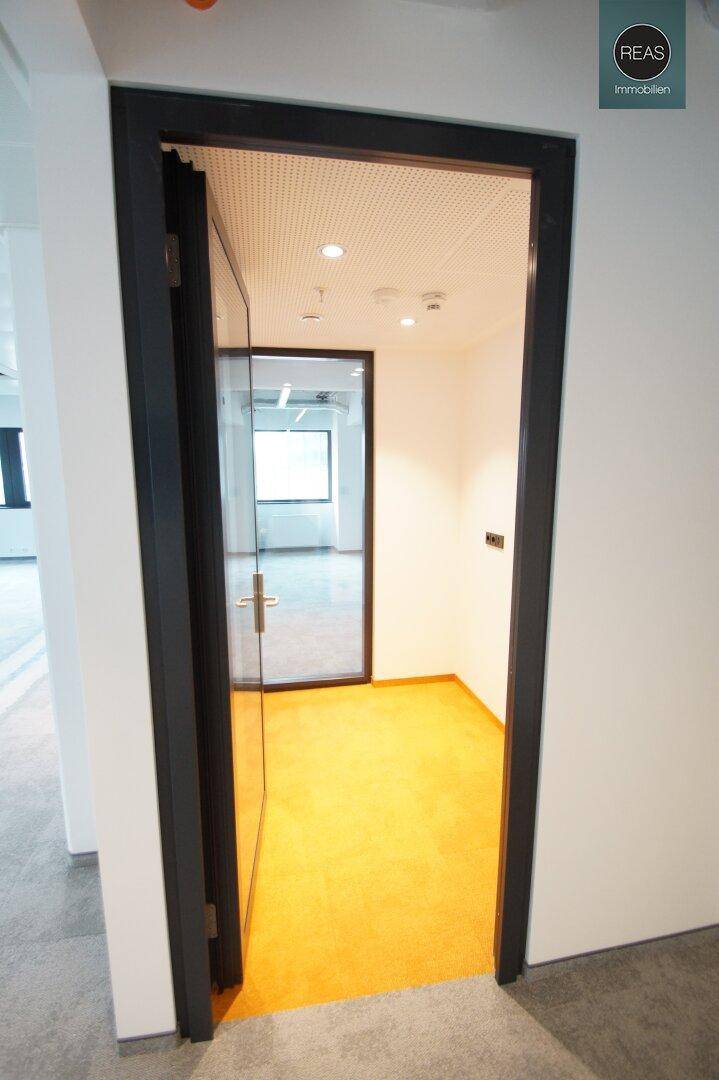 Blick durch eine offene Tür in ein kleines Büro mit leuchtend orangefarbenem Teppichboden.