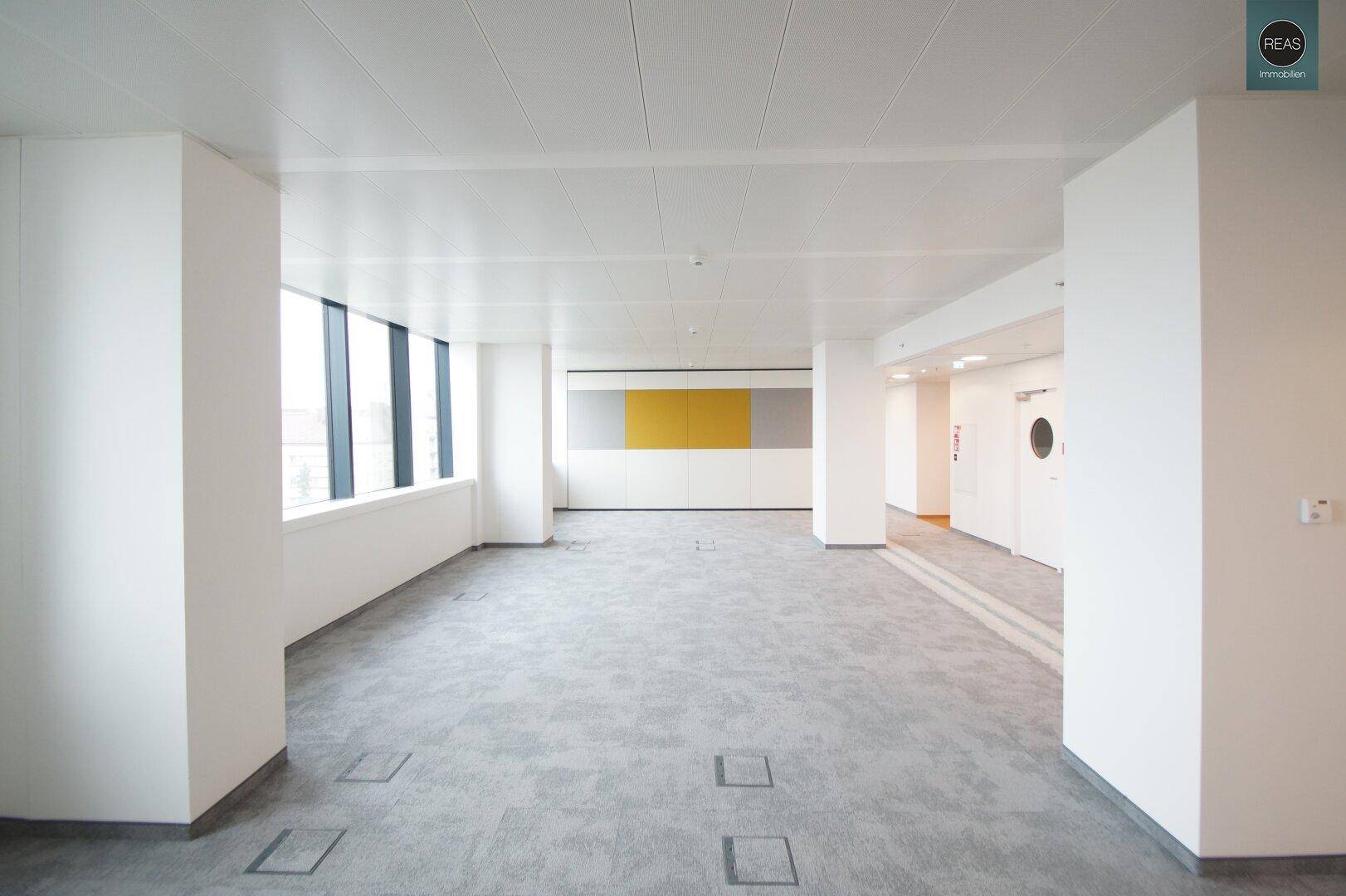 Geräumiges, leeres Büro mit Teppichboden und großen Fenstern, ideal für flexible Arbeitsplatzgestaltung.