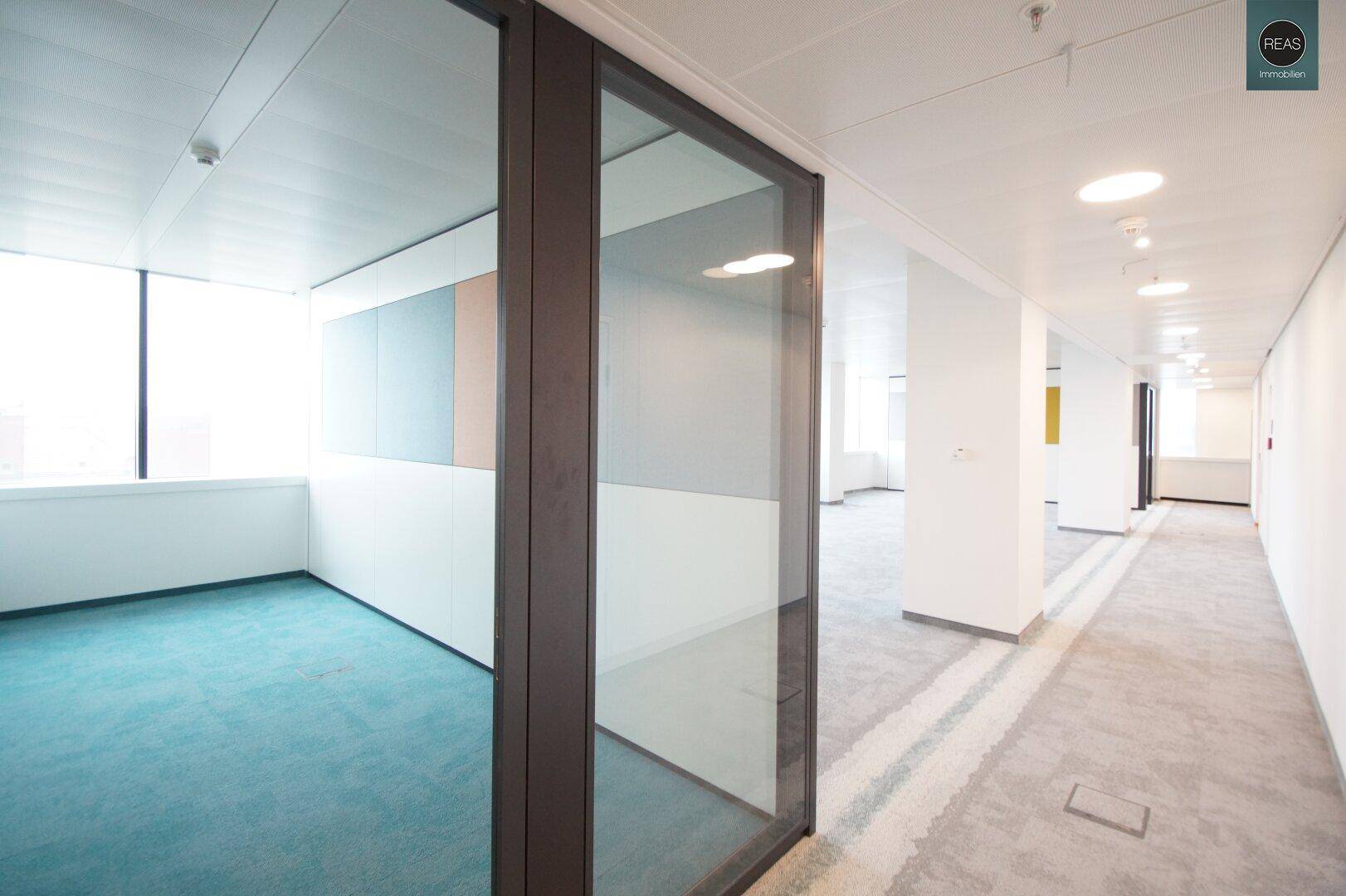 Moderner Bürogang mit Glaswänden und Teppichboden, der zu hellen Einzelbüros führt.