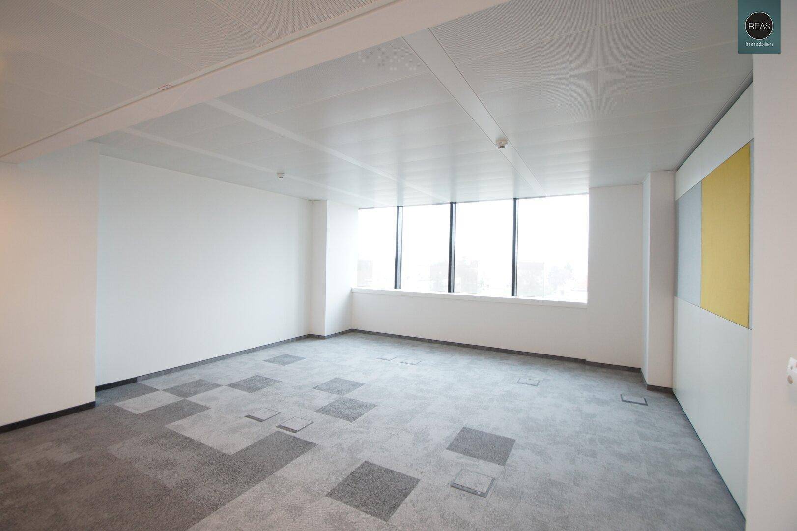 Helles, leeres Büro mit Teppichfliesen und großen Fenstern, bietet vielseitige Nutzungsmöglichkeiten.
