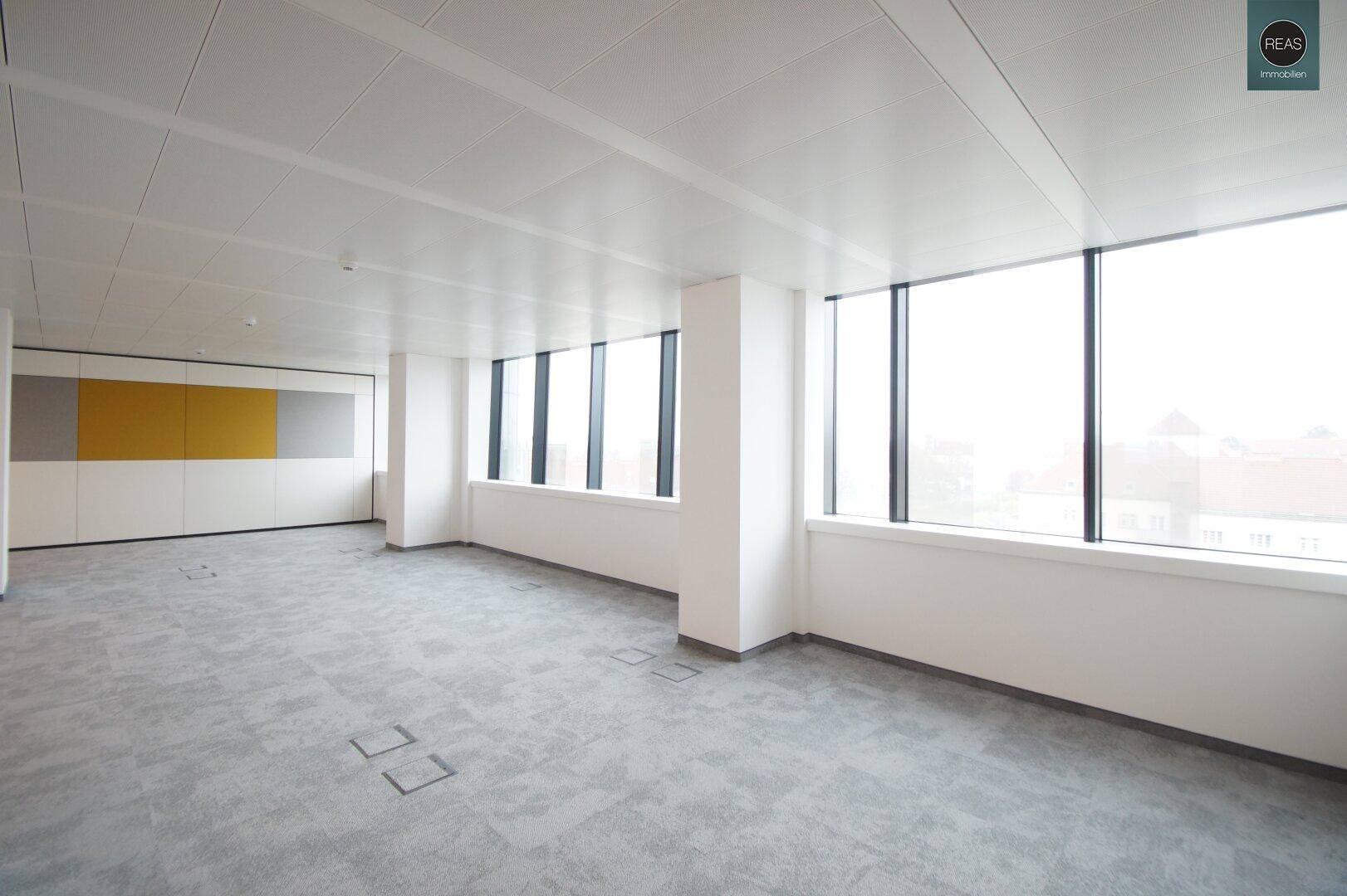 Leeres, modernes Büro mit Teppichboden und großen Fenstern, bereit zur individuellen Gestaltung.
