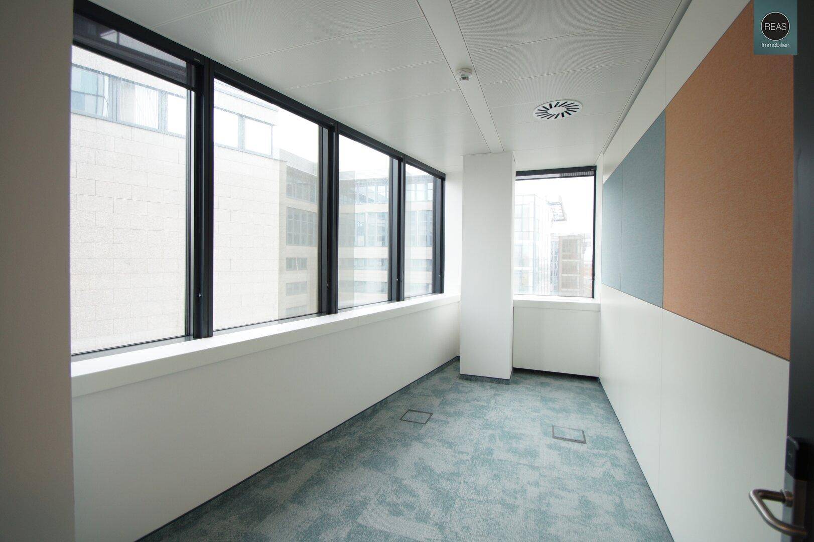 Helles Einzelbüro mit Teppichboden und großen Fenstern, bietet eine angenehme Arbeitsatmosphäre.