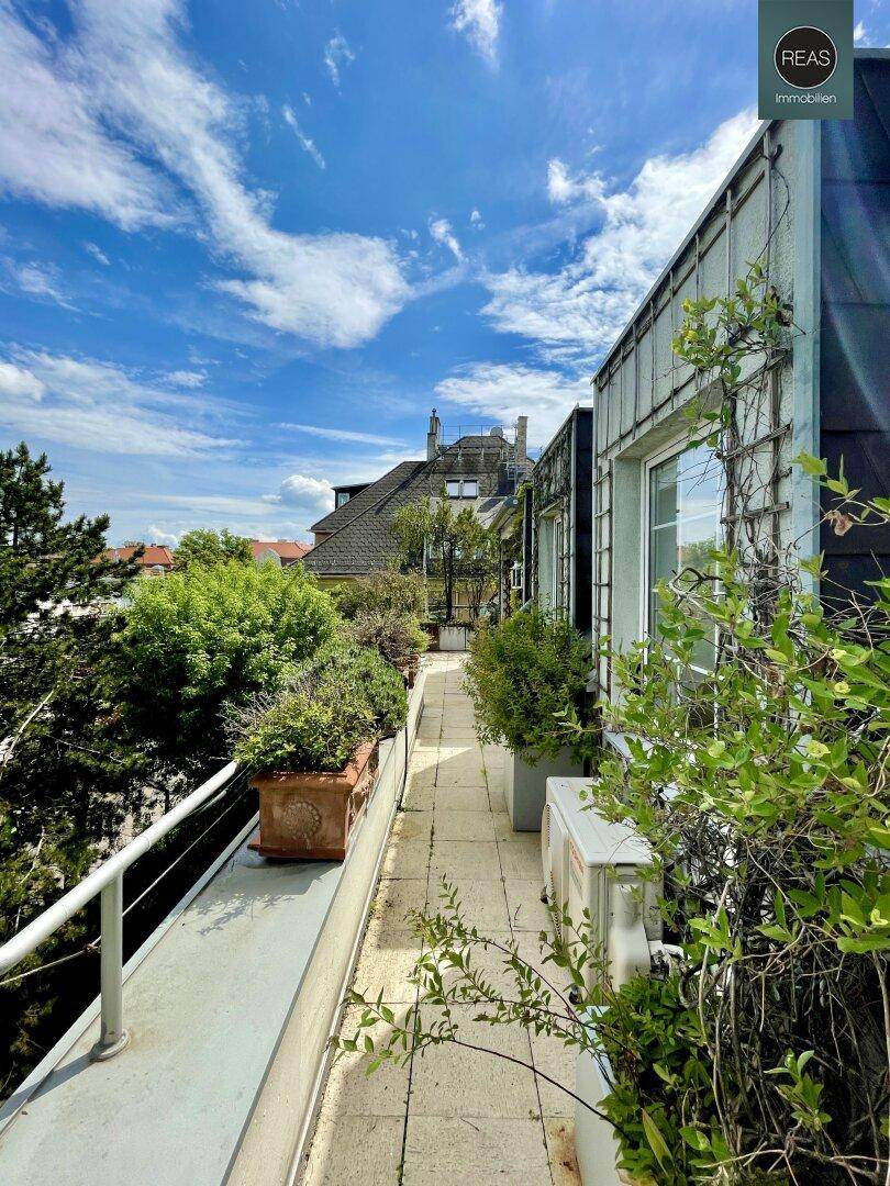 Lange Terrasse mit Fliesenboden, Pflanzen und Blick auf die umliegenden Gebäude.