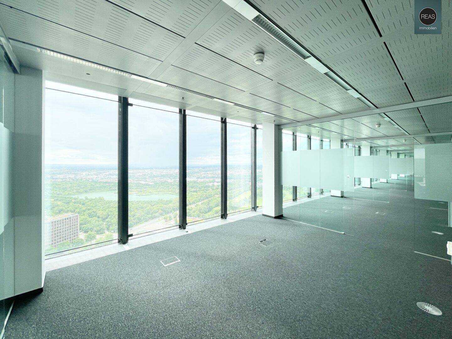 Leerer, moderner Büroraum mit Teppichboden, raumhohen Fenstern und weitem Stadtblick.