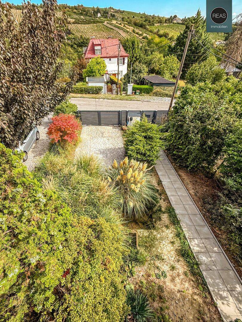 Gepflegter Gartenbereich mit verschiedenen Pflanzen, Sträuchern und einem gepflasterten Weg.