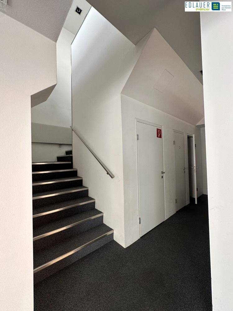 Treppenhaus mit Teppichstufen, weiß gestrichenen Wänden und einem Handlauf für sicheren Aufstieg.
