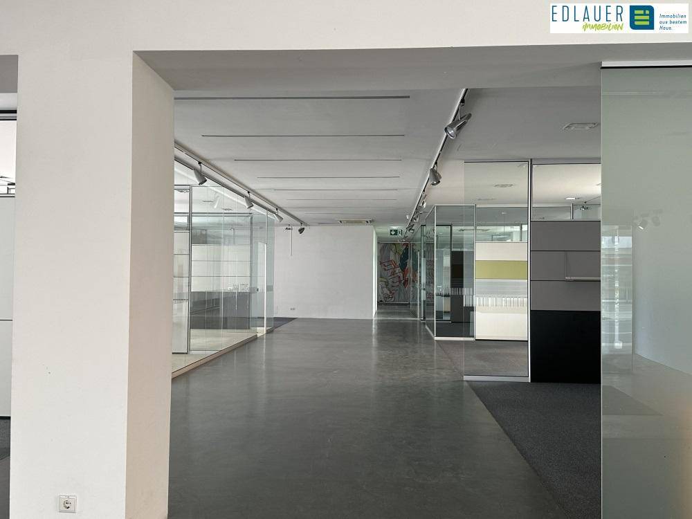 Langer Bürogang mit Glaswänden, Teppichboden und Blick in weitere Bürobereiche, die eine offene und helle Atmosphäre schaffen.