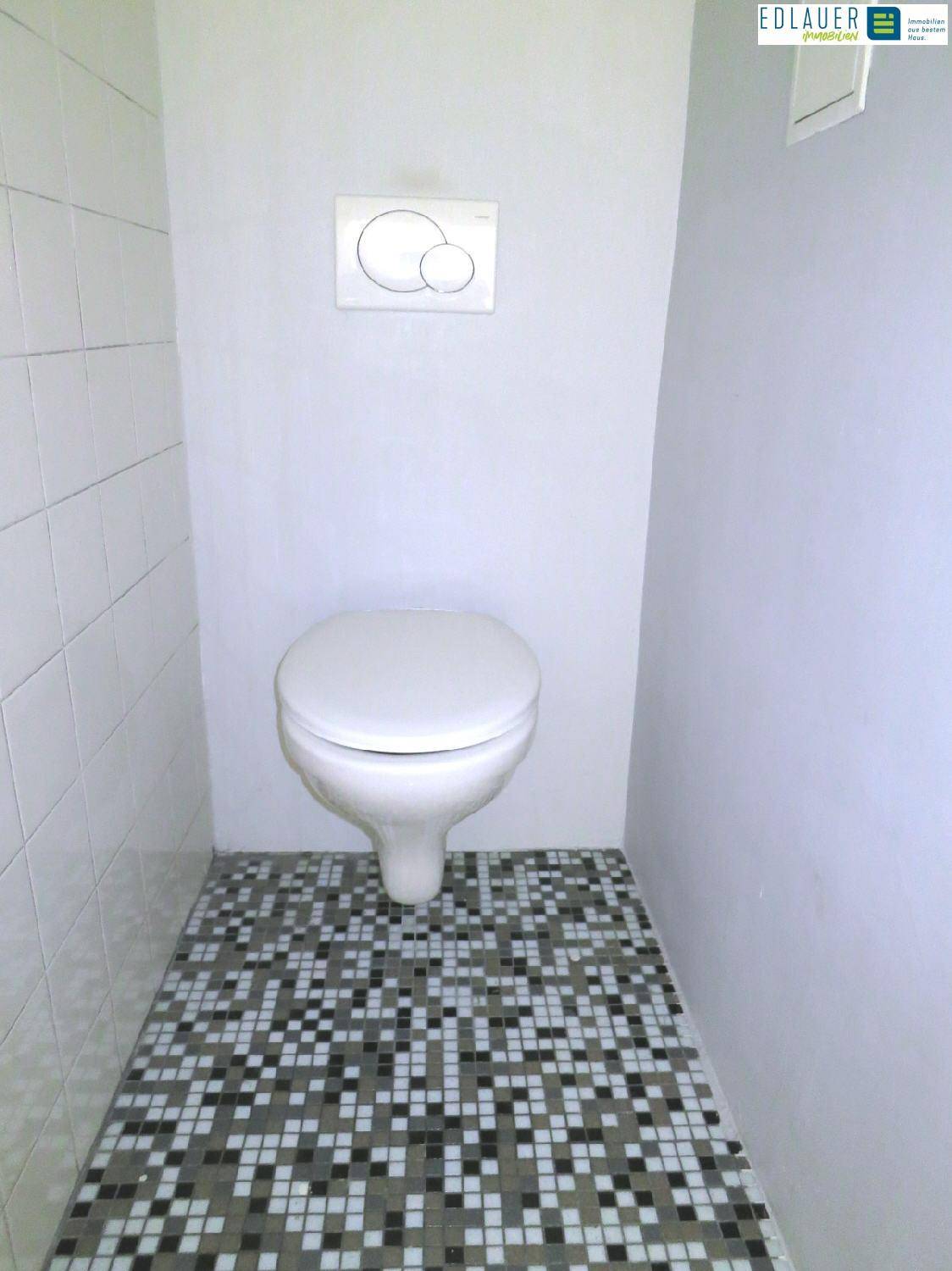 Separates WC mit wandhängender Toilette und dekorativen Mosaikfliesen am Boden.