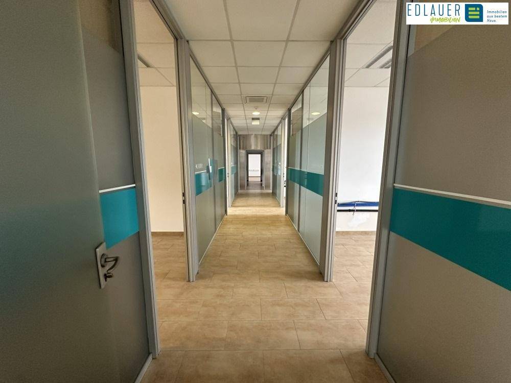 Langer Flur mit Bürotüren aus Glas und Metall, Fliesenboden und Deckenbeleuchtung, verbindet verschiedene Arbeitsbereiche.