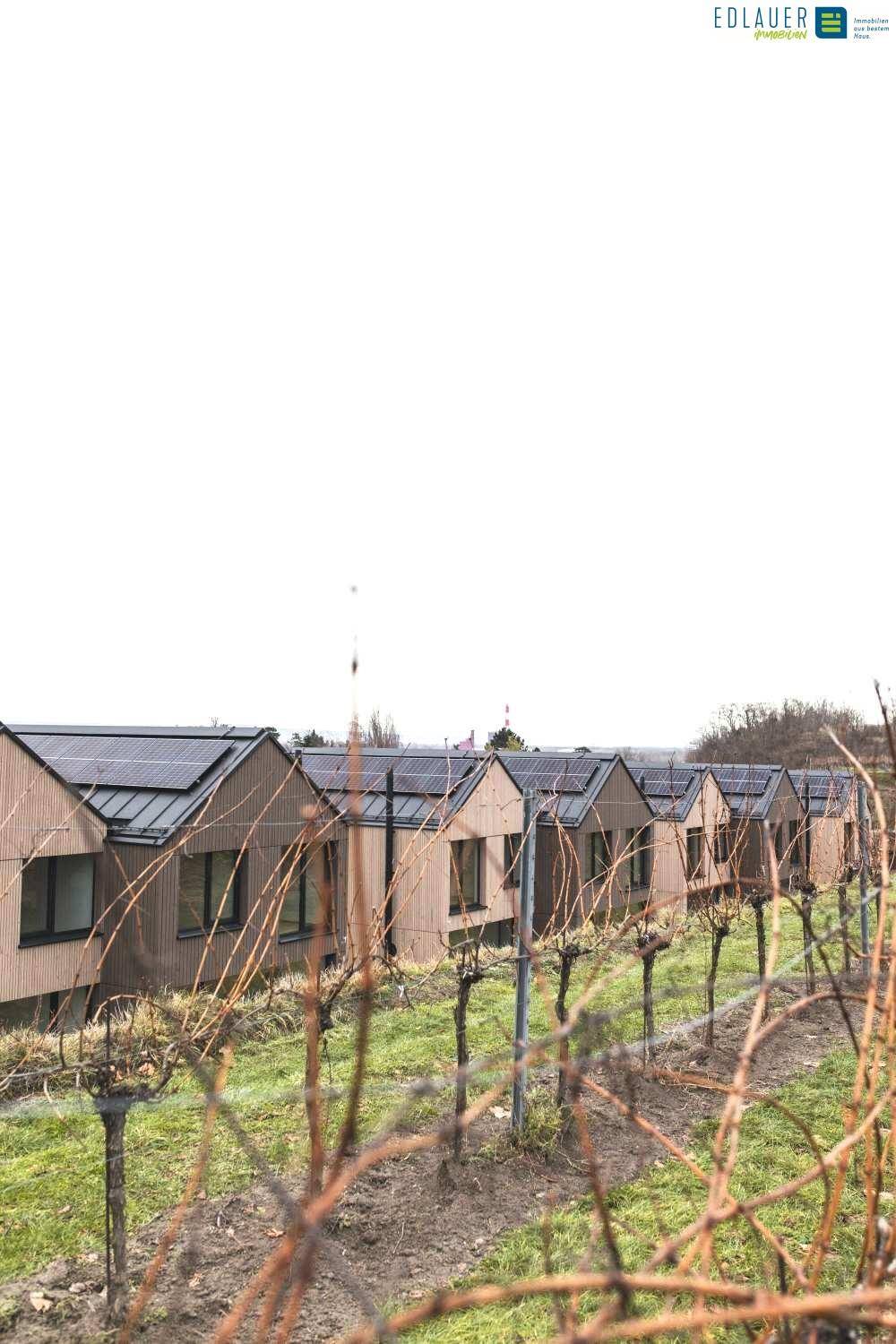 Moderne Häuserreihe hinter einem Weinberg, eingebettet in die natürliche Landschaft.