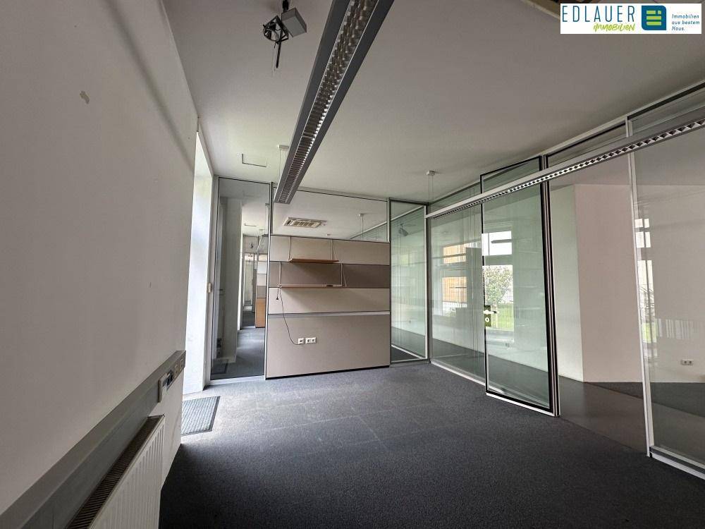 Langer Bürogang mit Teppichboden, Glaswänden und Blick in weitere Bürobereiche, die viel Licht bieten.