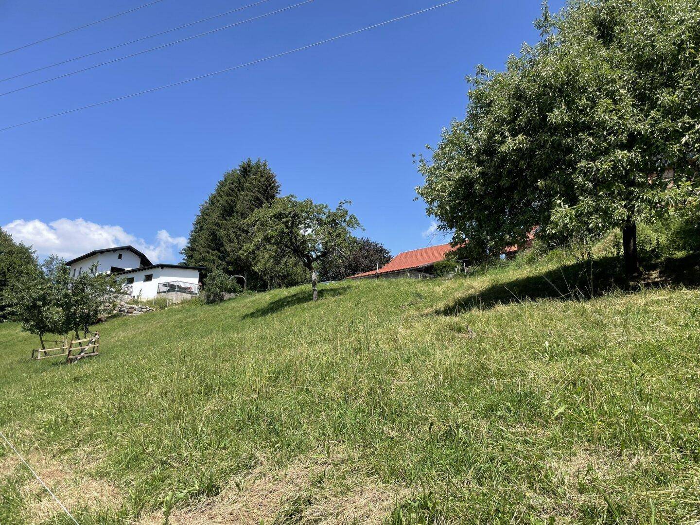 Grüner Hang mit Bäumen und im Hintergrund sichtbaren Häusern unter einem strahlend blauen Sommerhimmel.